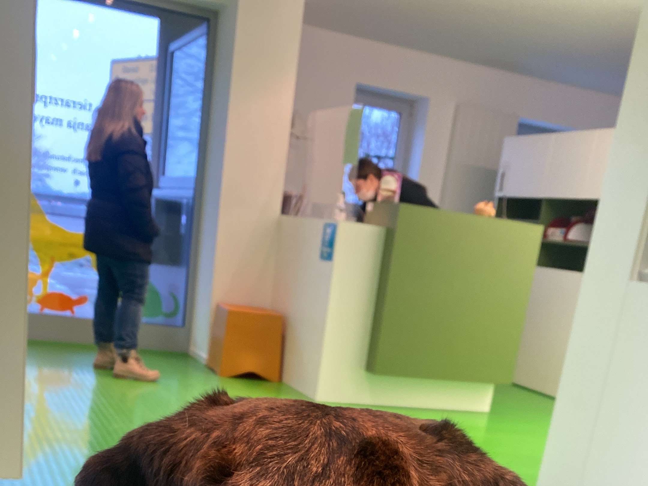 Ansicht 3 von Tierarztpraxis Anja Mayer