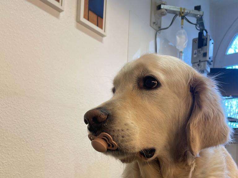 View 2 of Dr.med.vet. Bergit Grünau