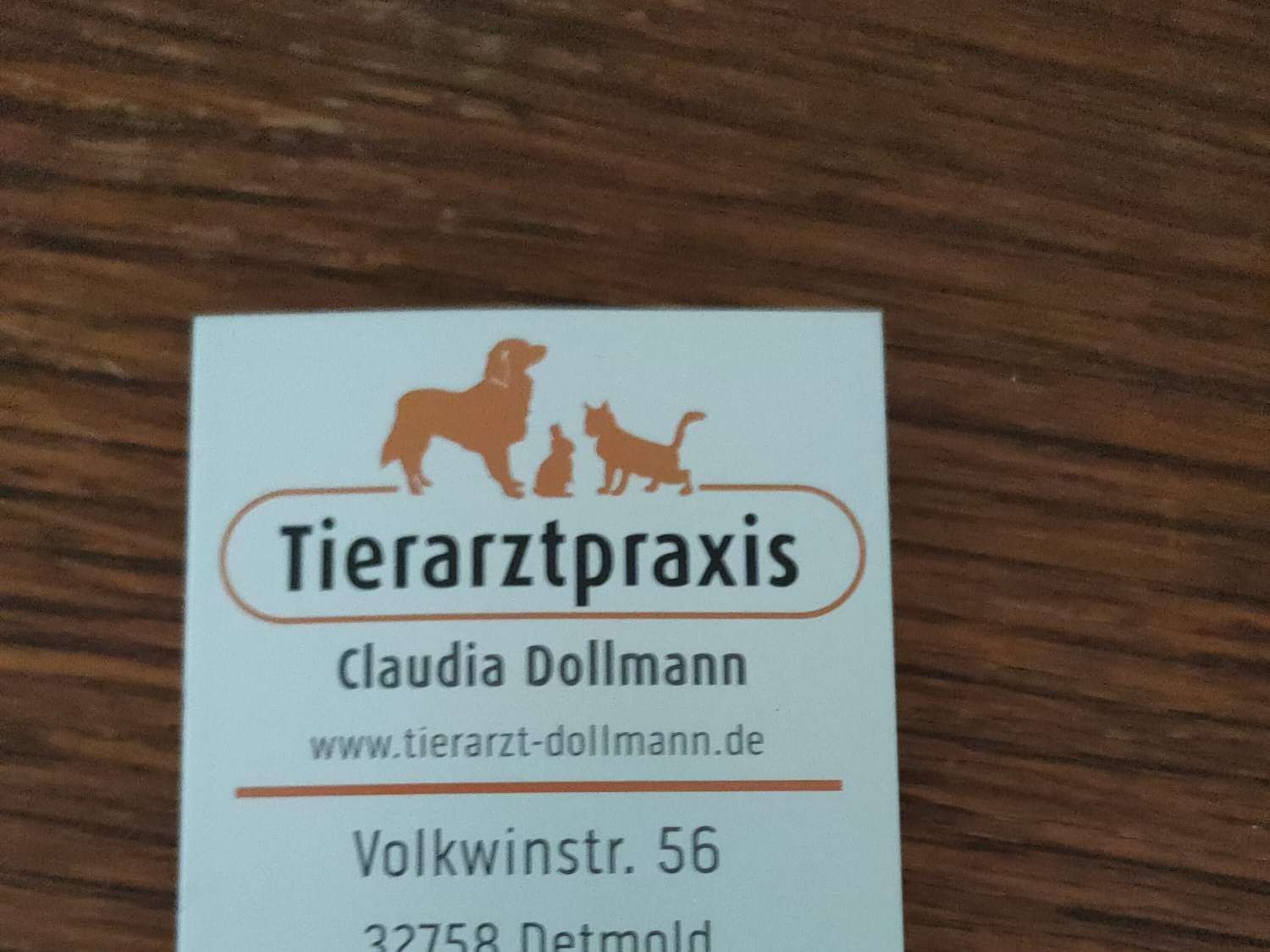 Ansicht 1 von Tierarztpraxis Claudia Dollmann | Tierarzt Detmold