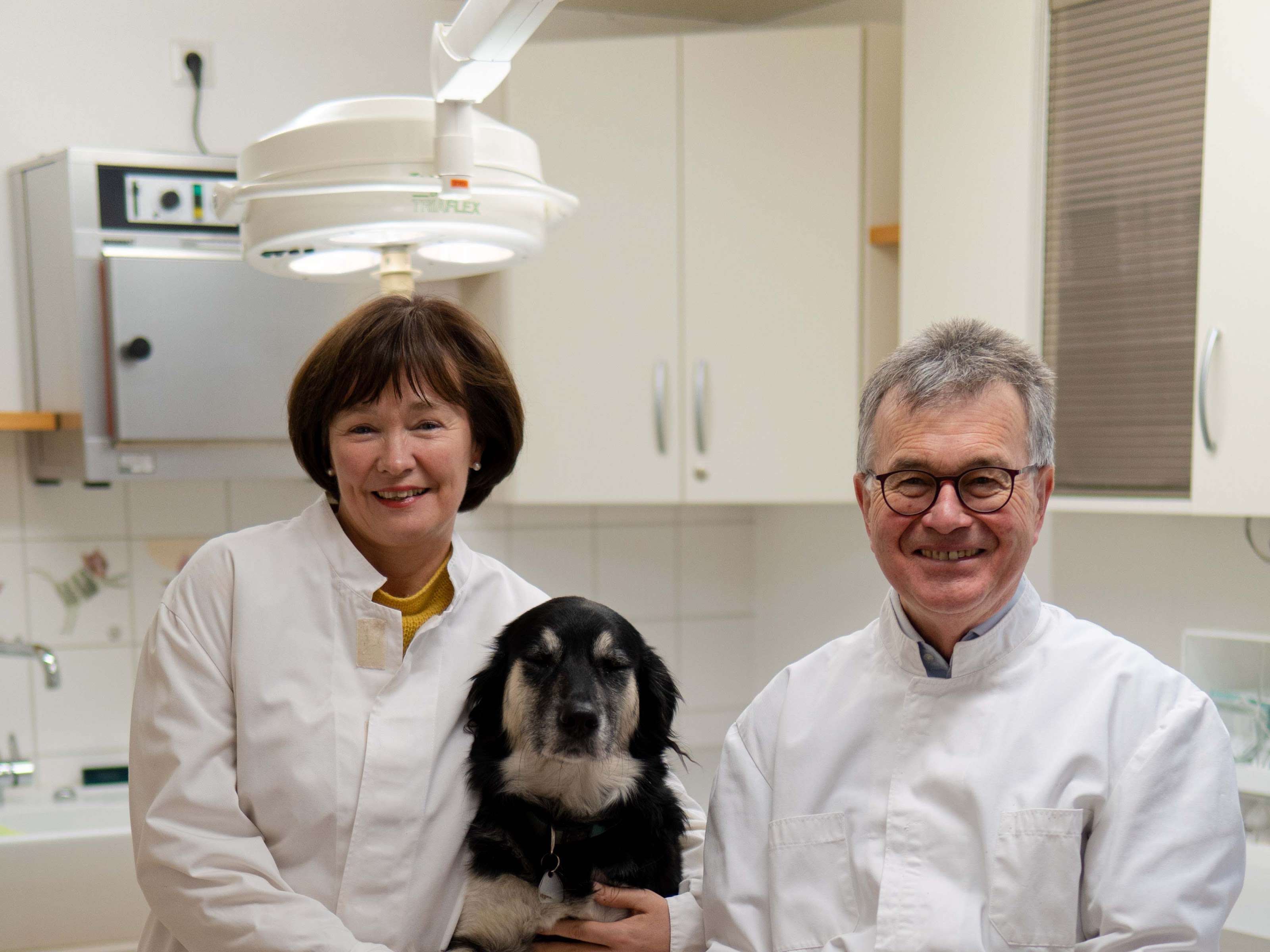 View 3 of Dr.med.vet. Ulrich Meier Tierarzt
