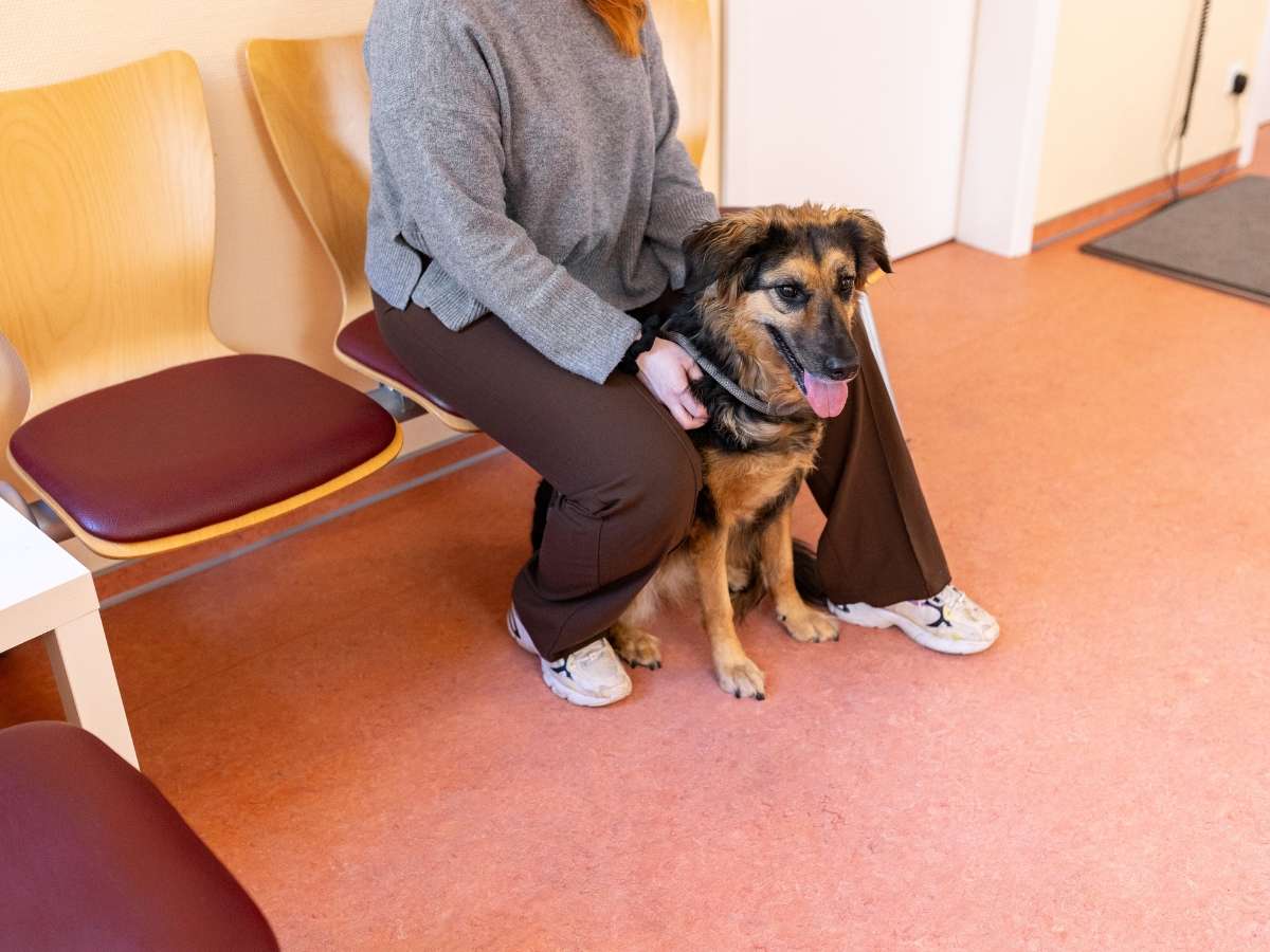 Ansicht 5 von Tierarzt Drücker Achim-Uphusen Kleintierpraxis Uphusen