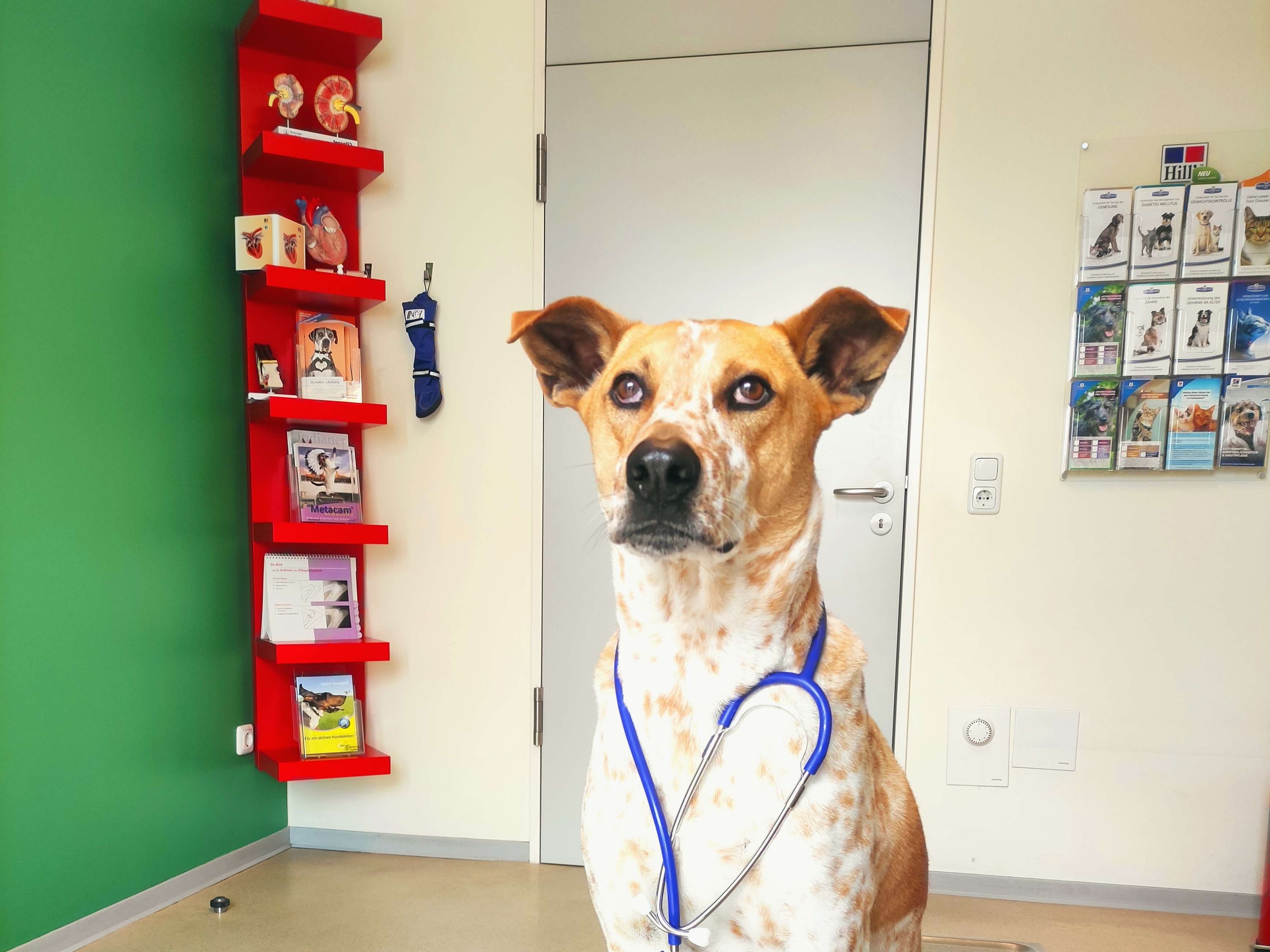 Ansicht 3 von Tiergesundheit Volkach