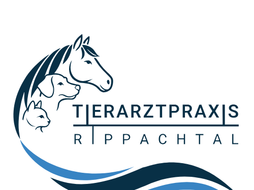 Ansicht 1 von Tierarztpraxis Rippachtal