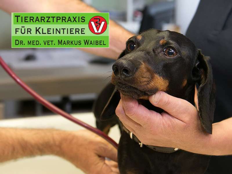 View 1 of Dr. med. vet. Markus Waibel Tierarzt
