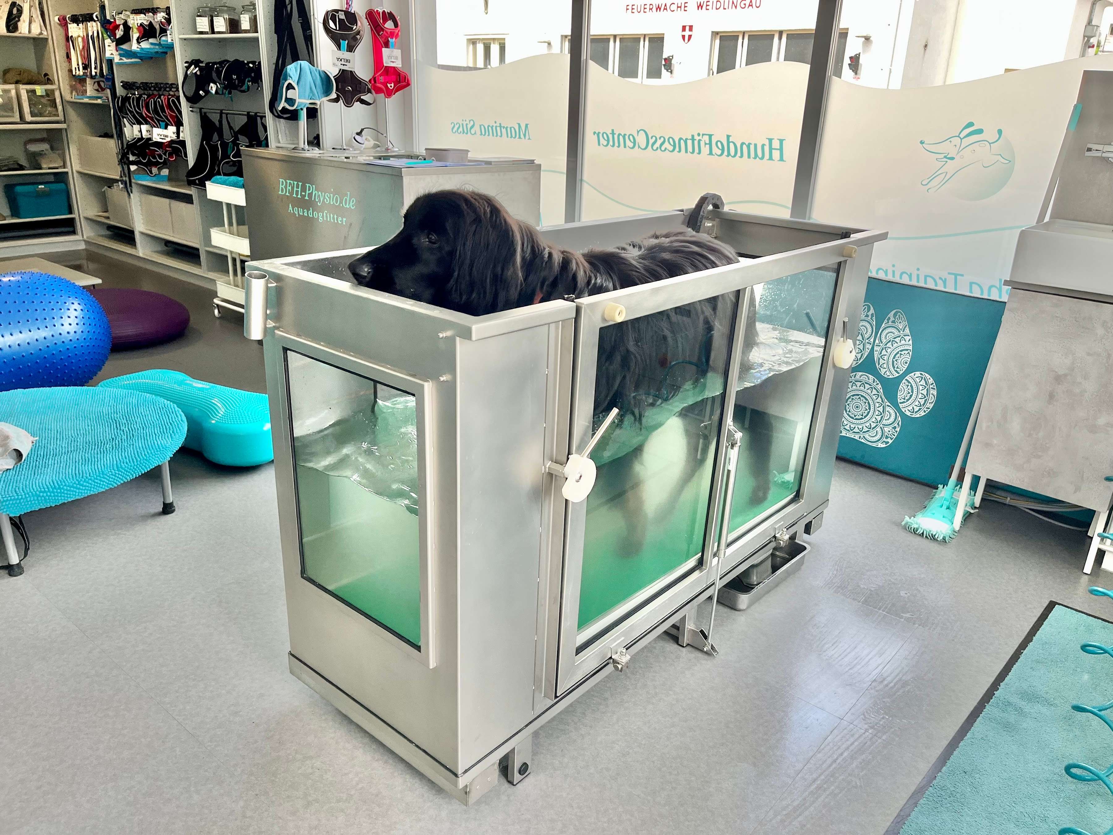 Ansicht 1 von PhysioTierärztin Mag. Martina Süss mit HundeFitnessCenter