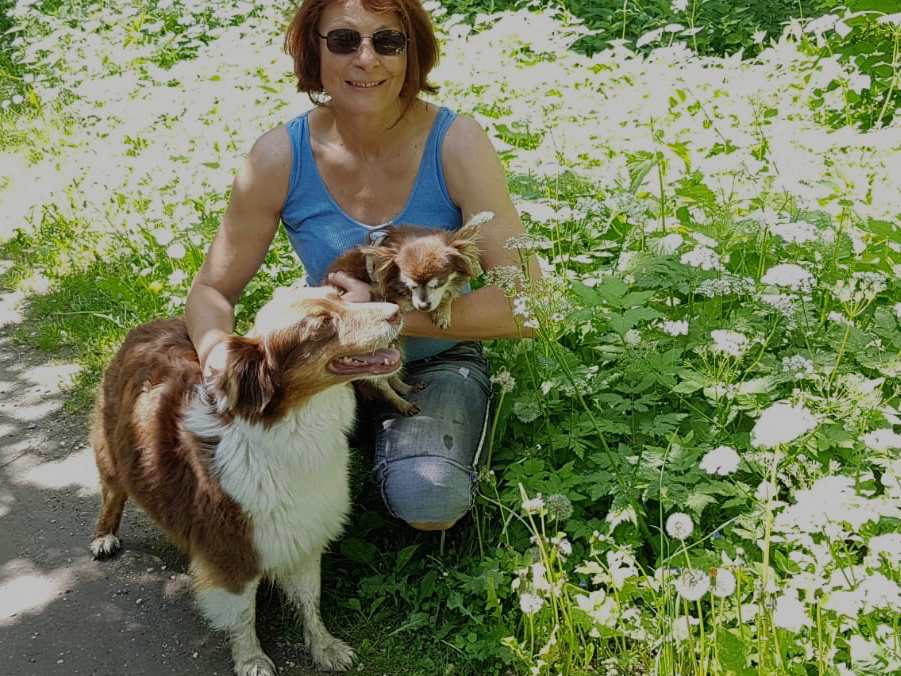 Ansicht 2 von Tierarztpraxis Amadeus Mag.med.vet. Martina Zechmeister-Mühl