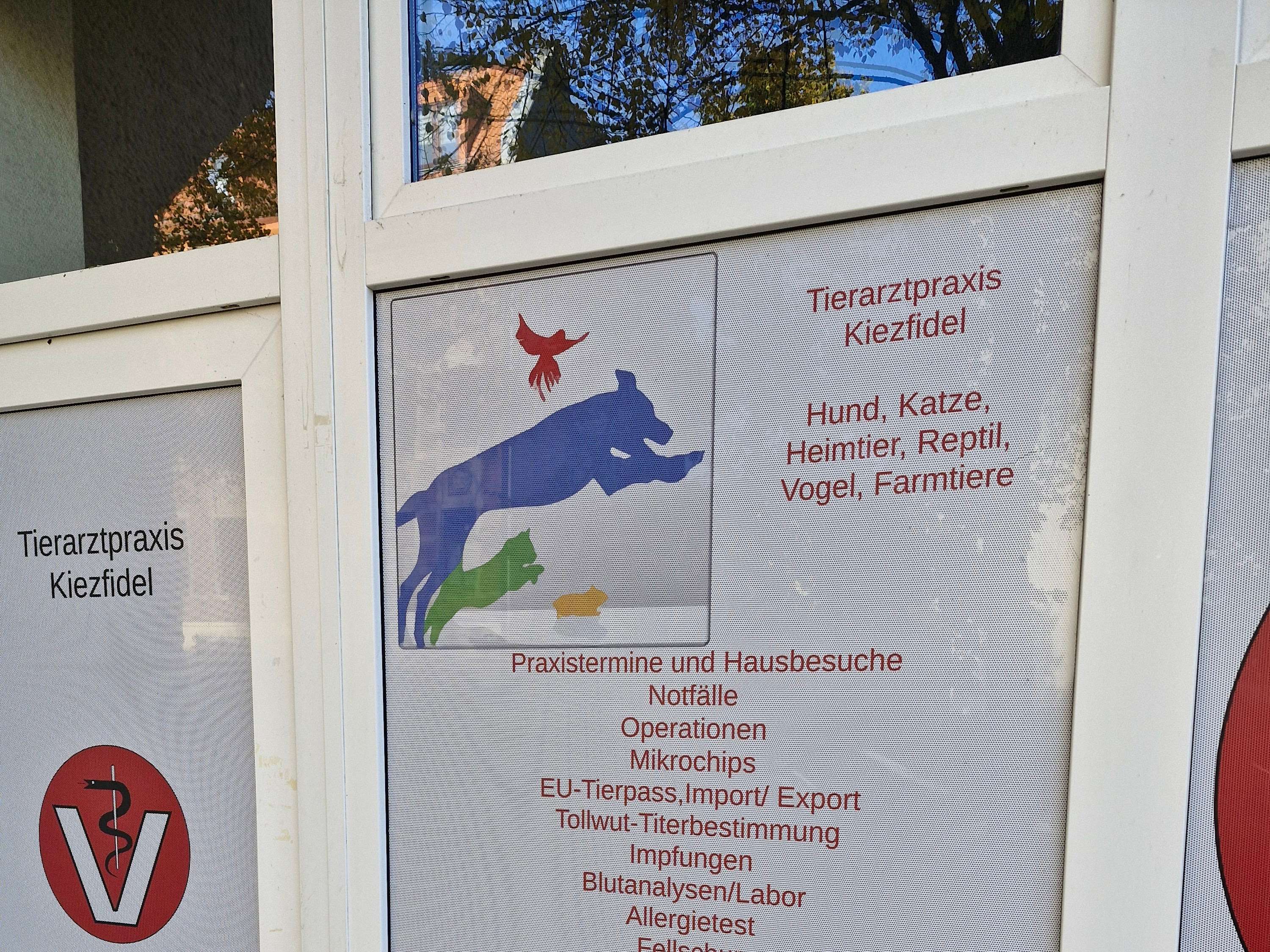Ansicht 2 von Tierarzt Kiezfidel, Tierärztin