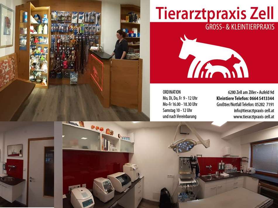 Ansicht 2 von Tierarztpraxis Zell