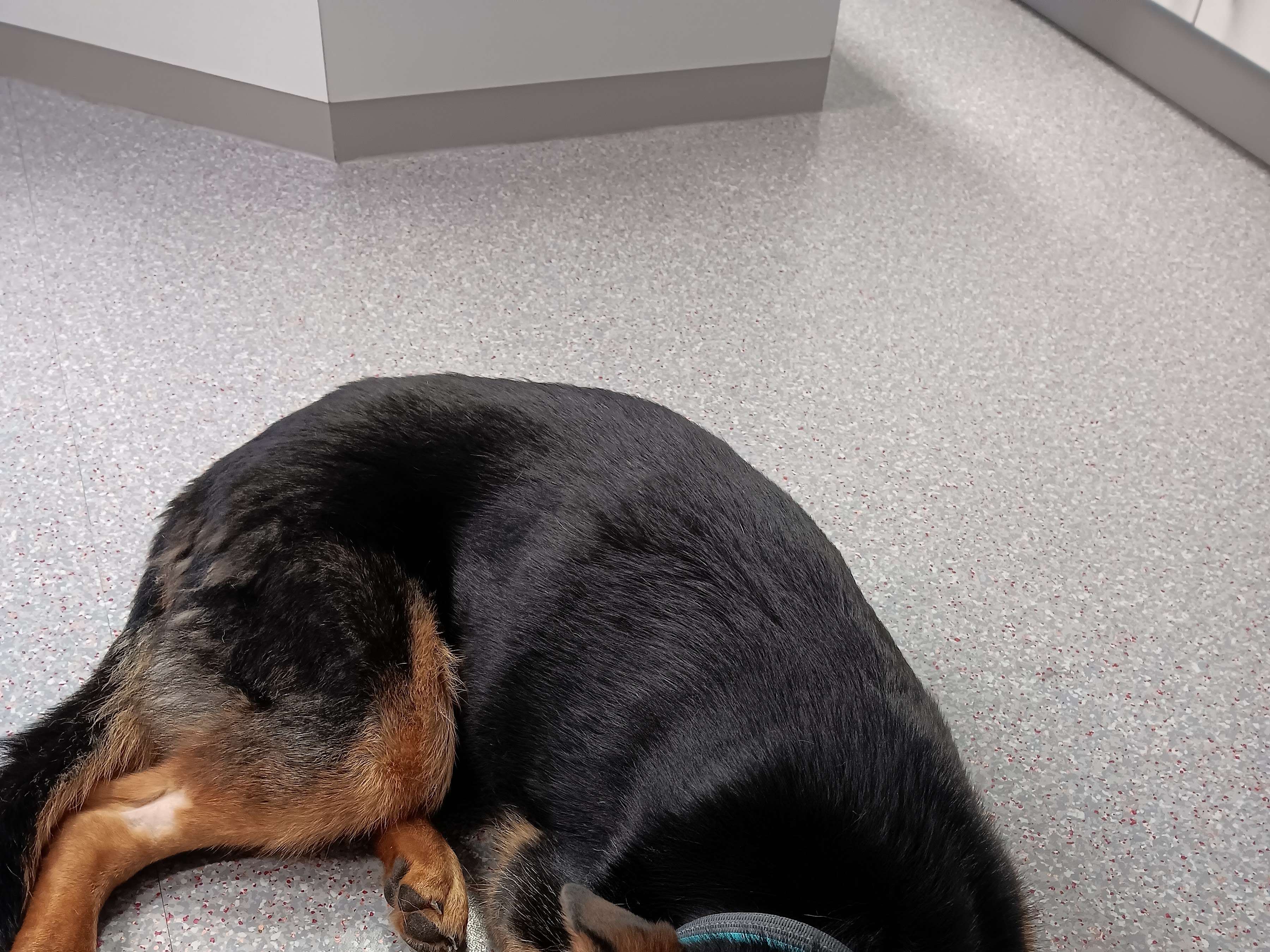 Ansicht 1 von Tierklinik Lüneburg