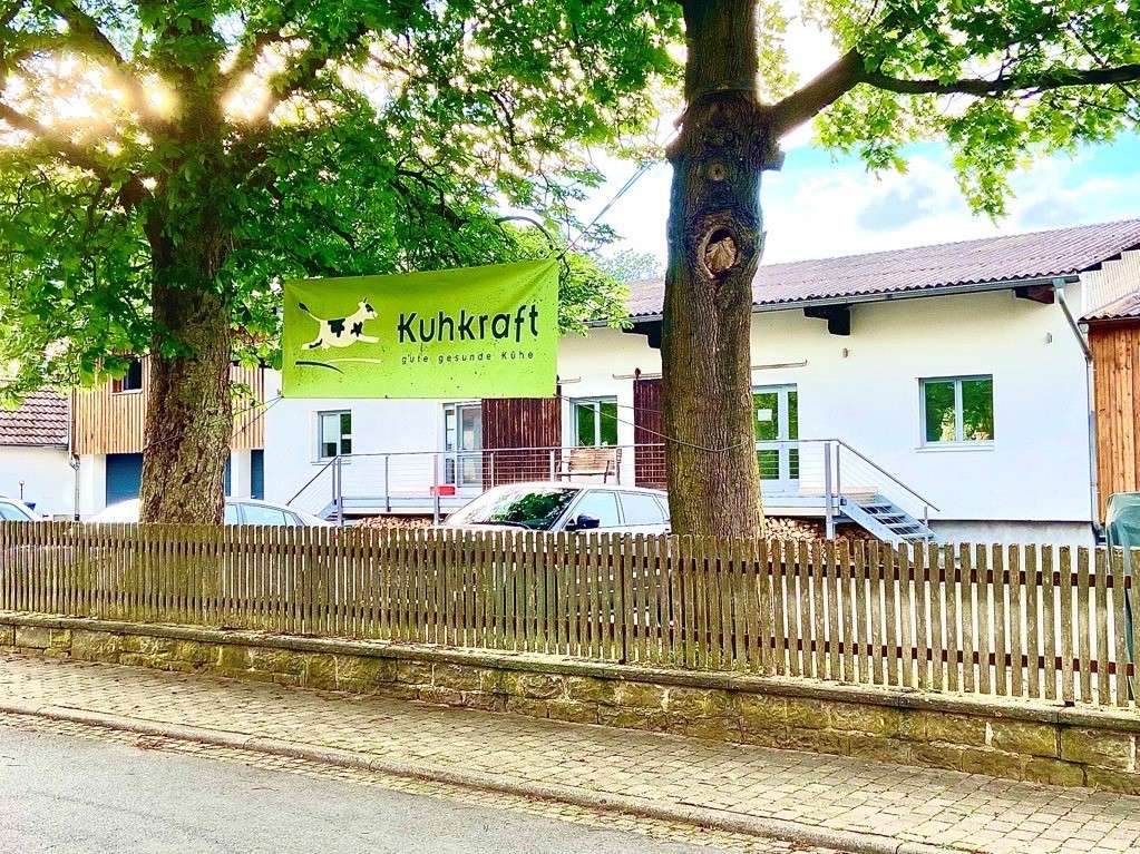 Ansicht 1 von Kuhkraft