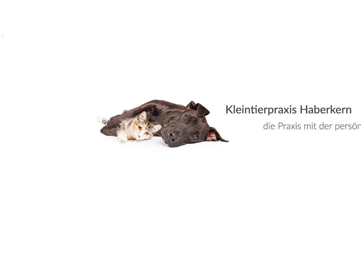 Ansicht 1 von Kleintierpraxis Haberkern - Fachtierärzte im Raum Heilbronn und Neckarsulm
