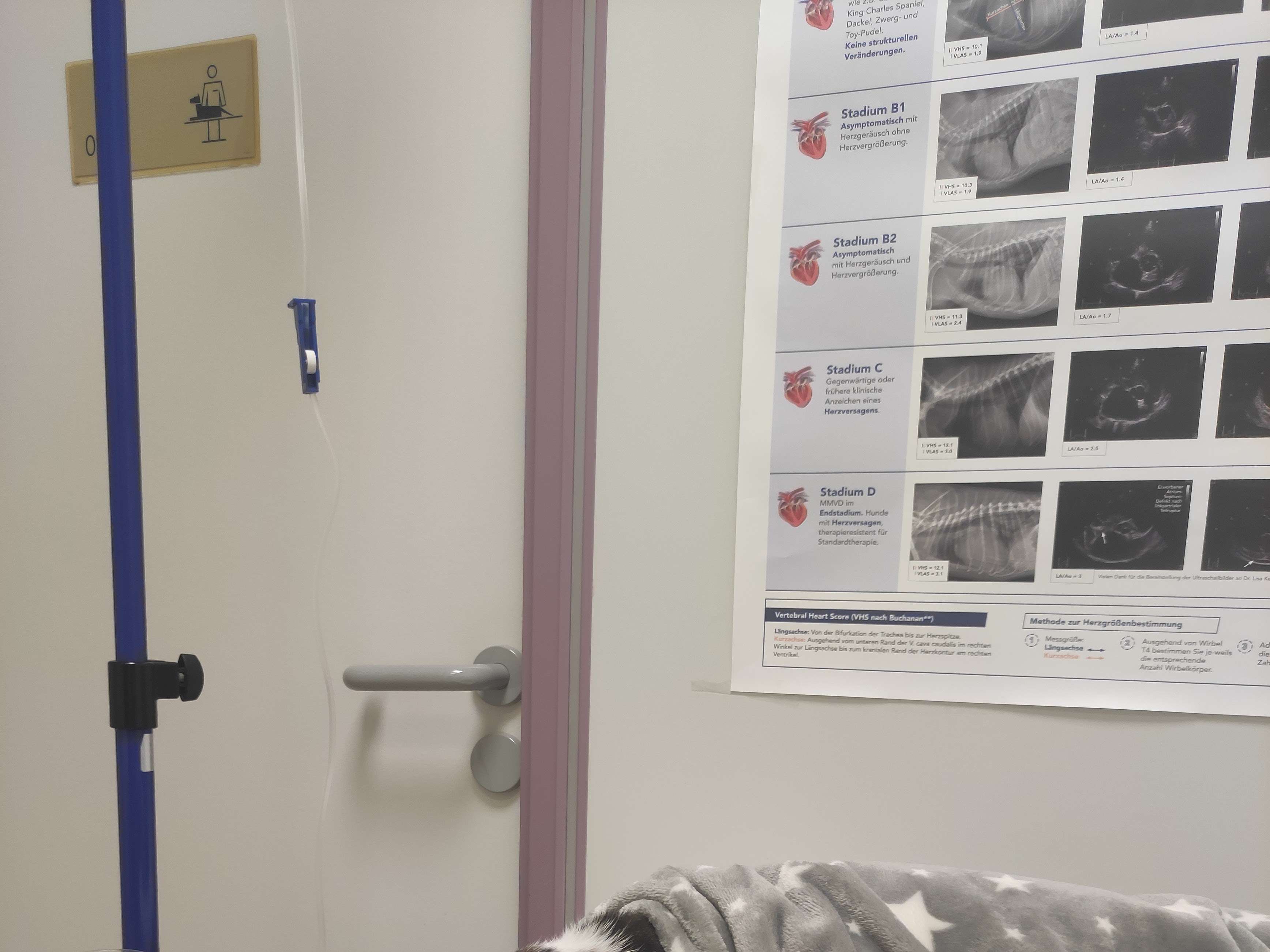 Ansicht 2 von Dr. med. vet. Christine Lukesch Tierärztin