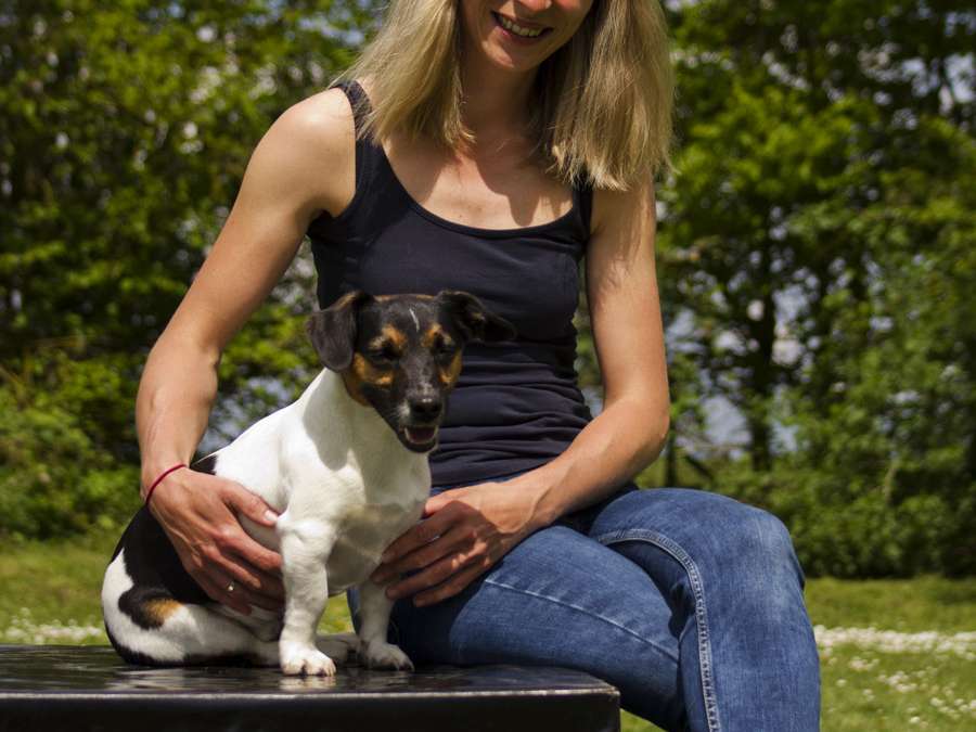 Ansicht 2 von Tierarztpraxis Melanie Raabe - Tätigkeitsschwerpunkt Chiropraktik