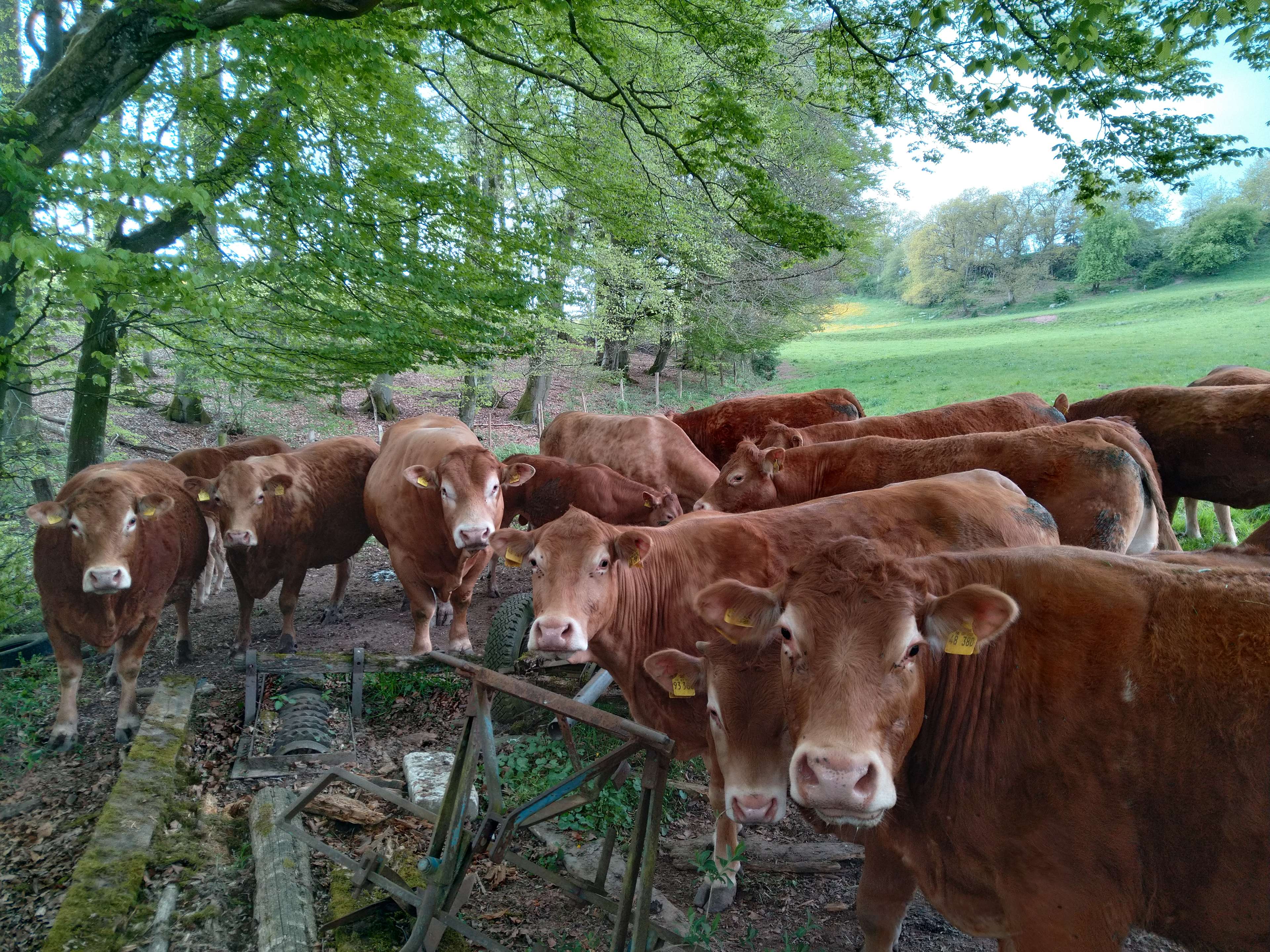 Ansicht 1 von Tierarztpraxis Hansen