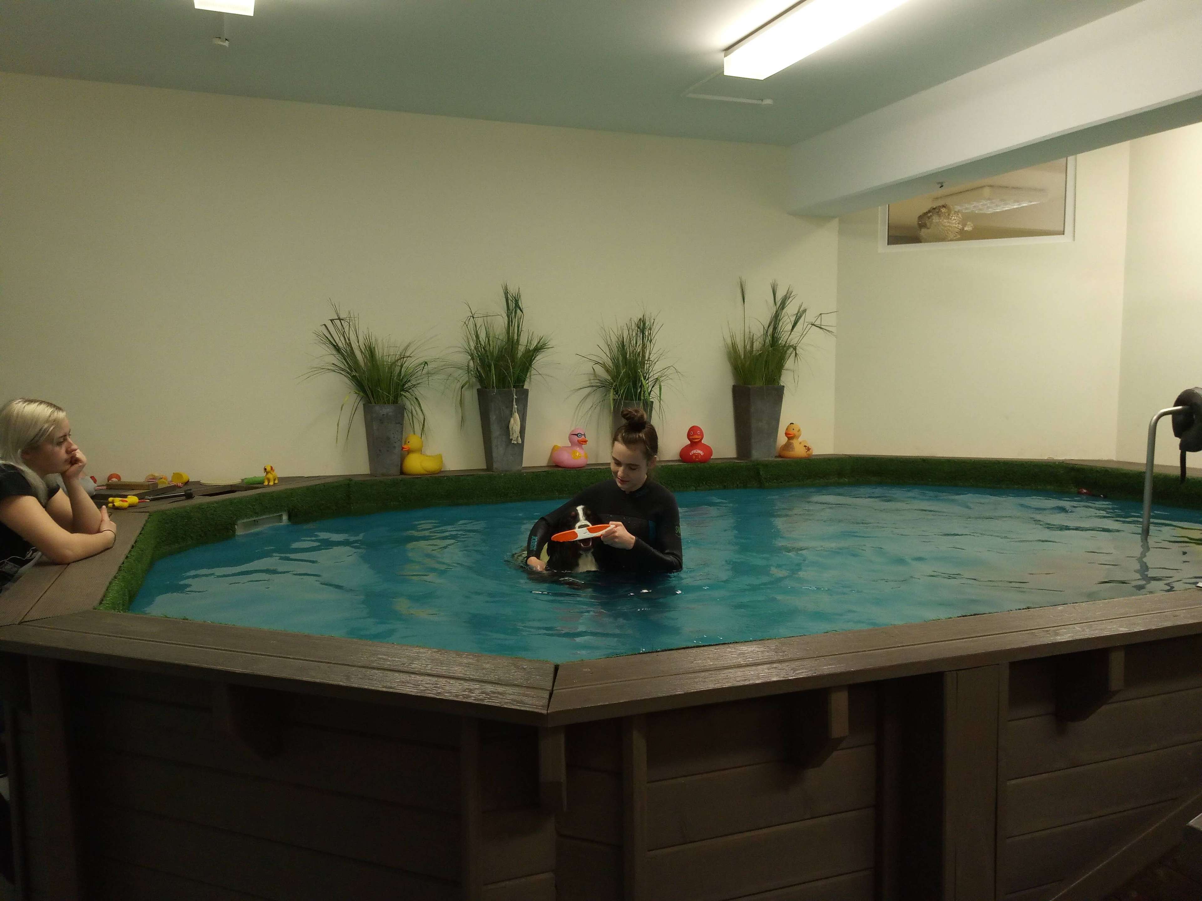 Ansicht 1 von TierPhysio Paderborn