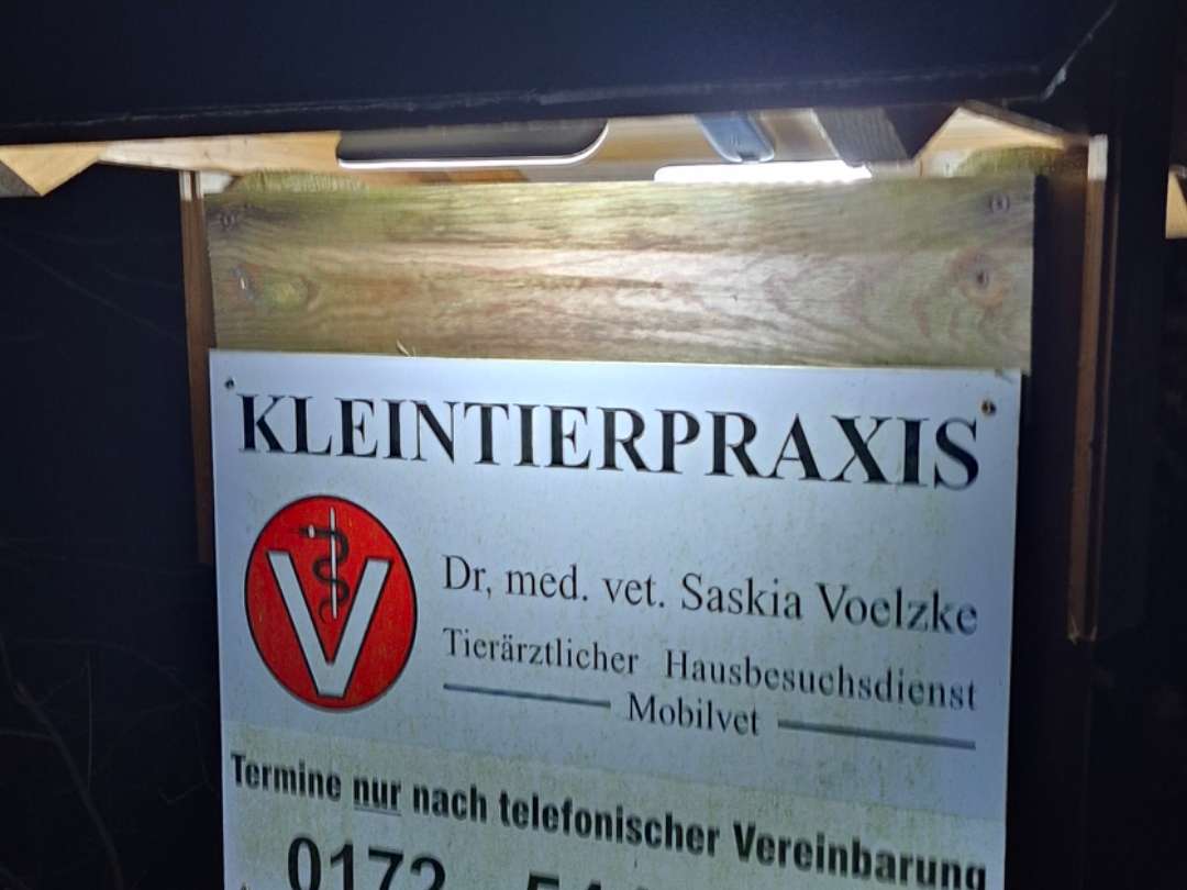 Ansicht 2 von Dr. Saskia Voelzke