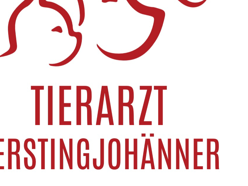 Ansicht 3 von Tierarzt - Marion Kerstingjohänner