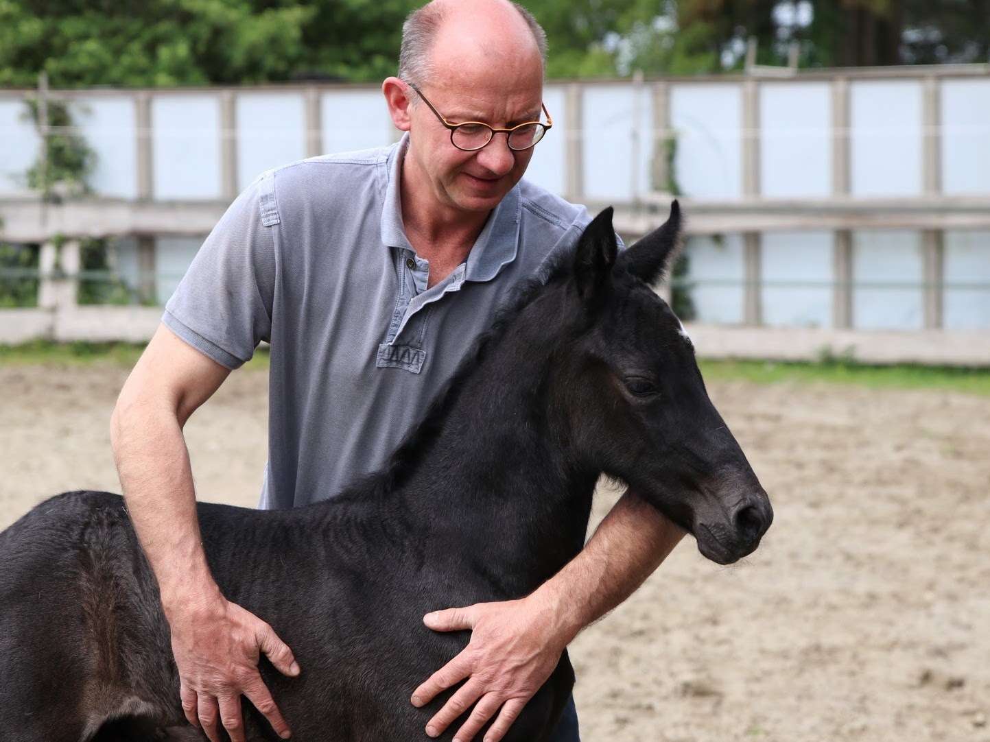 Ansicht 2 von Tierarztpraxis Dr. Thomas Montag in Risum-Lindholm für Kleintiere und Großtiere