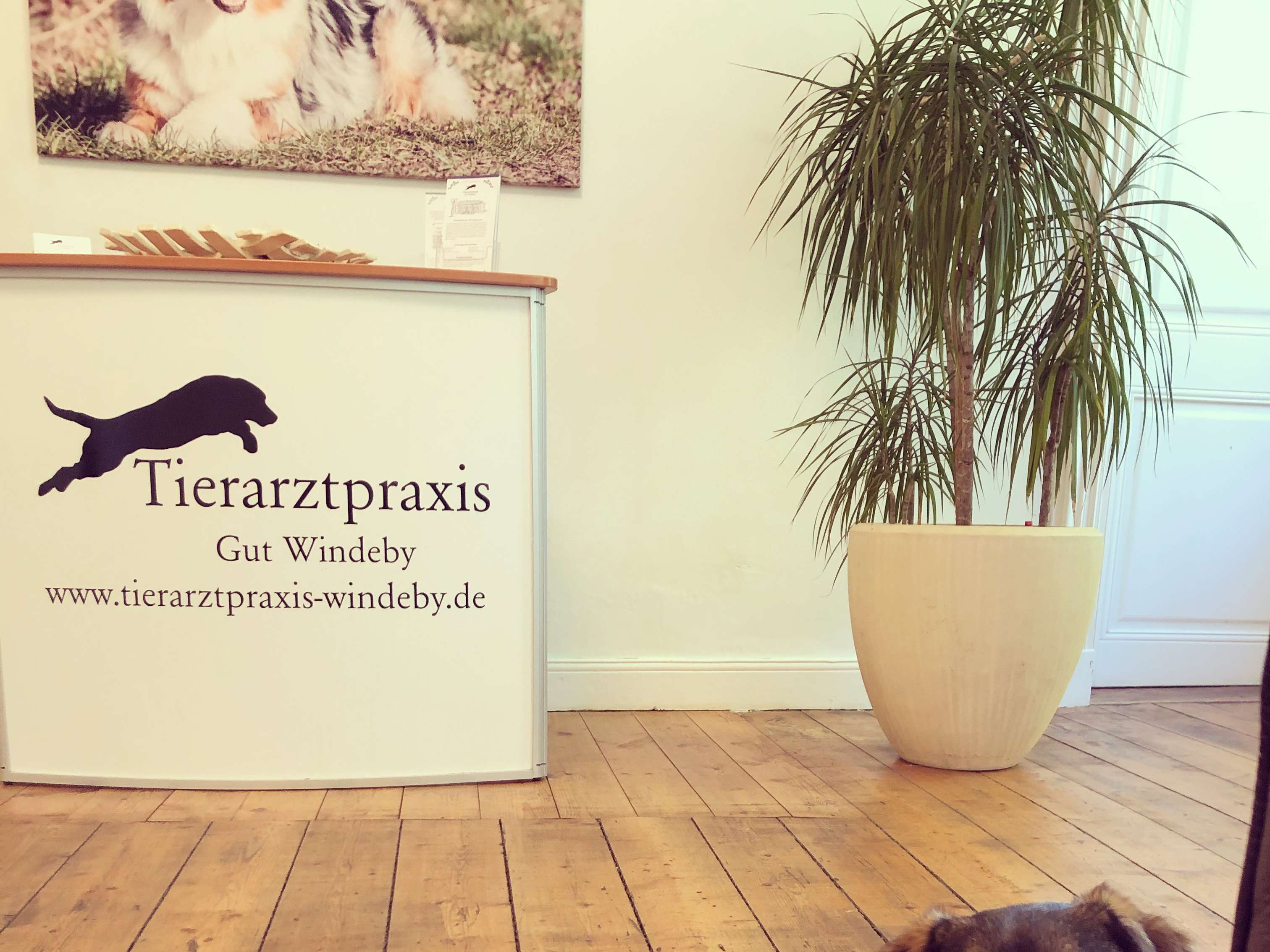 View 2 of Tierarztpraxis Gut Windeby