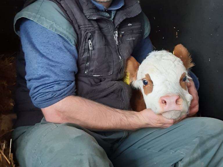 Ansicht 2 von Tierarztpraxis MVDr. Marian Vecera