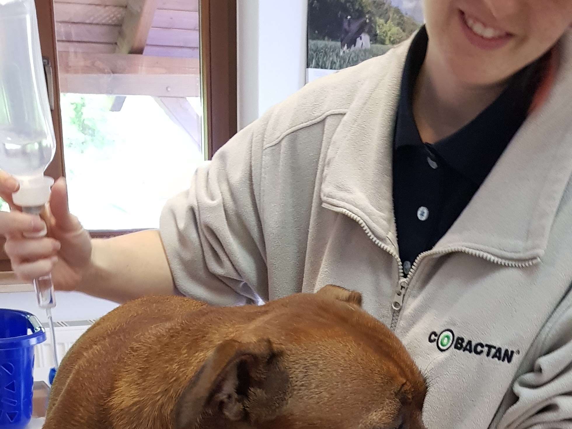 Ansicht 1 von Tierarztpraxis Dr. Andreas Arndt | Fachtierarzt für Klein und Heimtiere