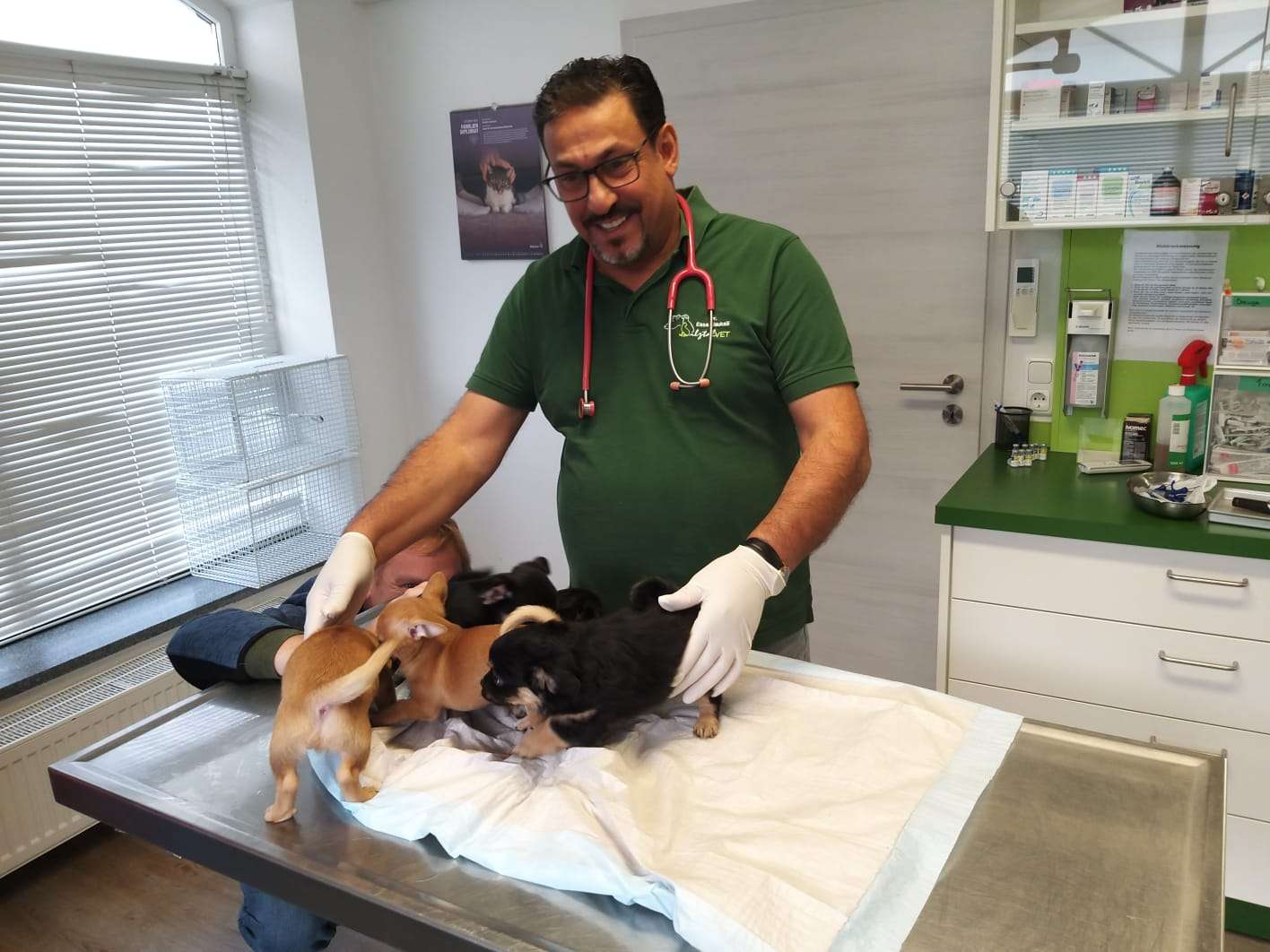 Ansicht 1 von Ilztal Vet Tierärztliche Praxis für Groß und Kleintiere