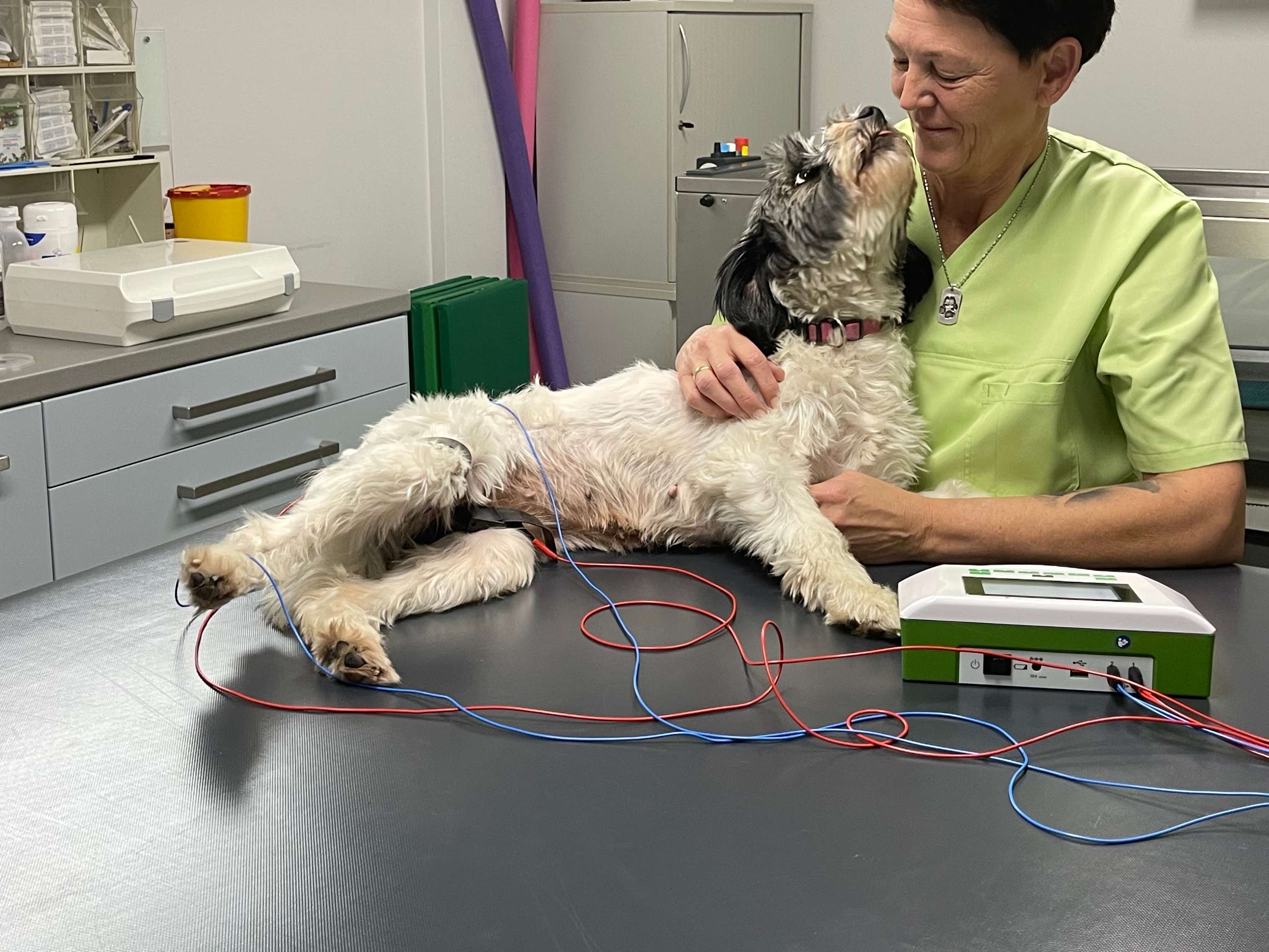 View 1 of Dogs Aqua fit - Tierphysiotherapie Damme