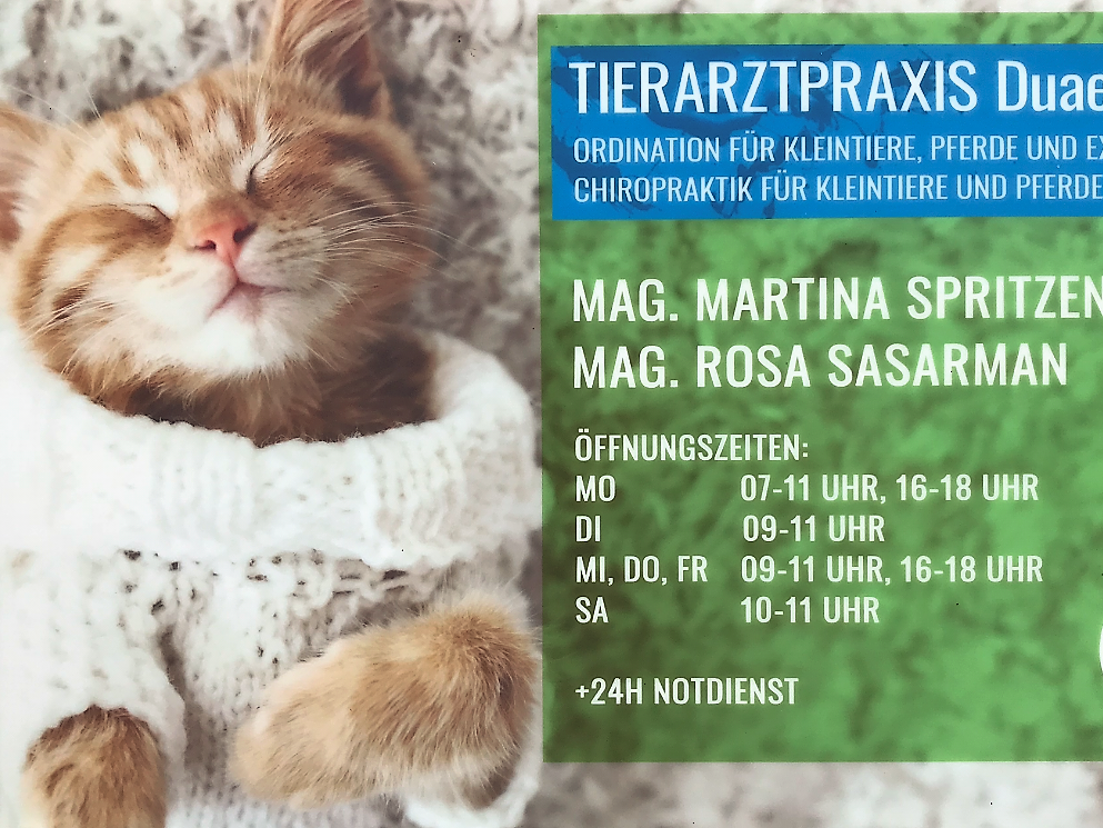 Ansicht 1 von Tierarztpraxis DuaeVet OG