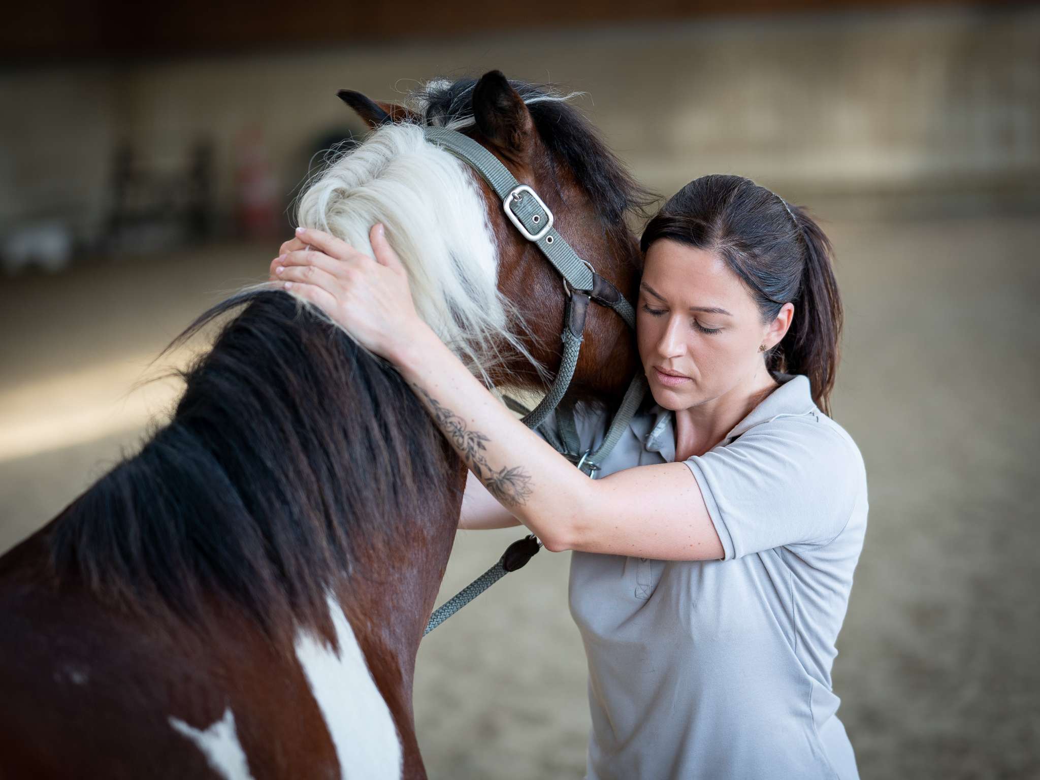 Ansicht 3 von Dr. Barbara Freudenschuss, Tierärztin für Chiropraktik und Akupunktur