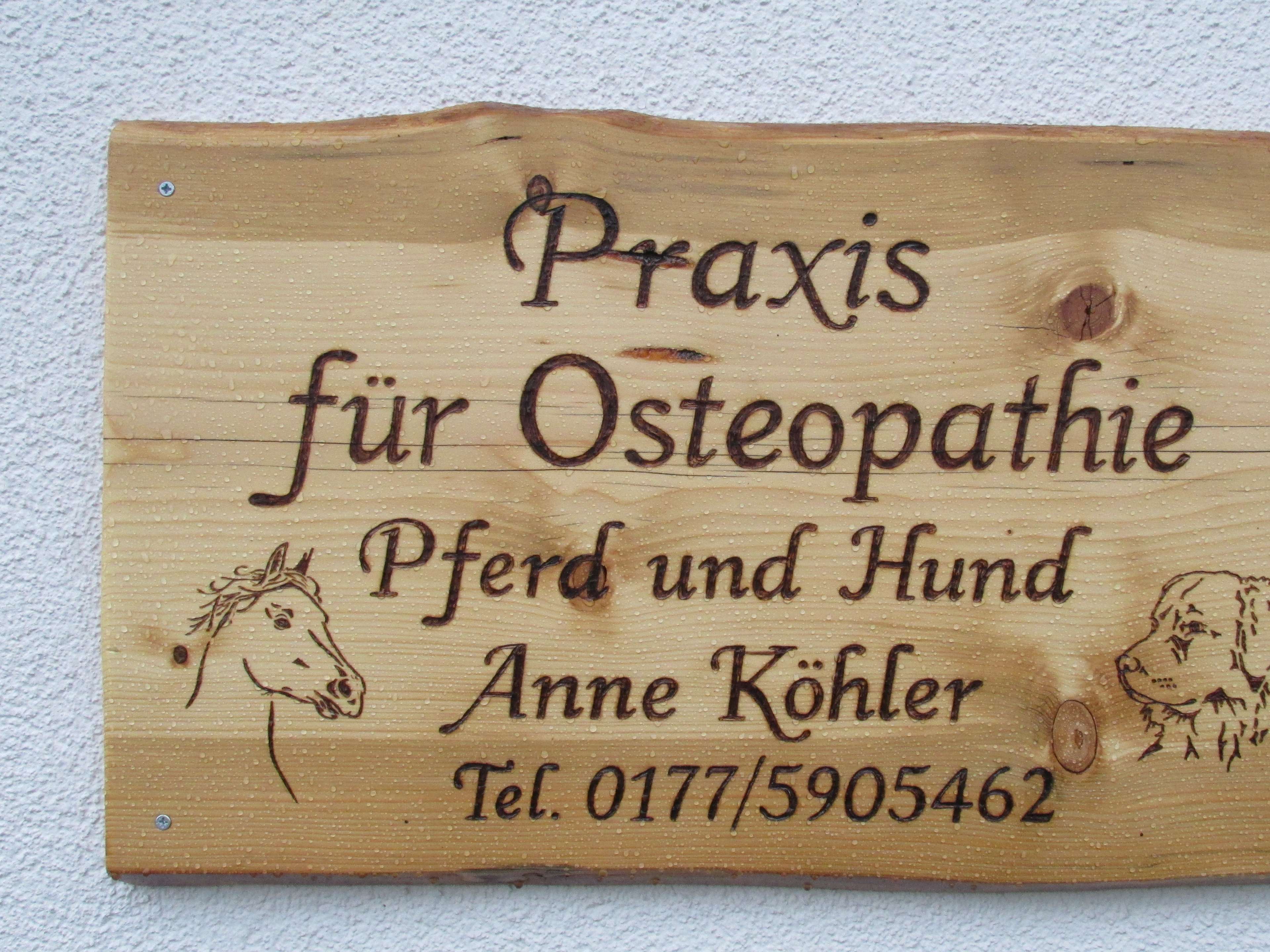 Ansicht 2 von Osteopathie für Pferd und Hund - Anne Köhler