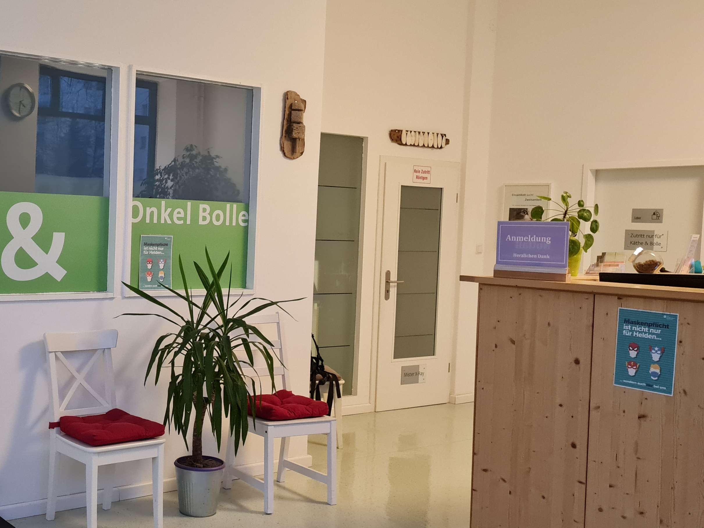 Ansicht 3 von Tierarztpraxis "Tante Käthe & Onkel Bolle" Dr. Willitzkat
