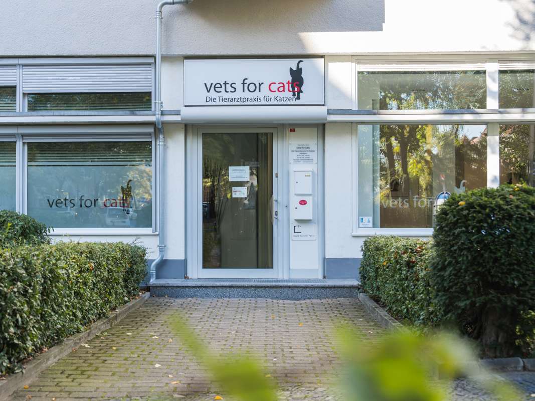 Ansicht 4 von Tierarzt Berlin, vets for cats Berlin - Tierarztpraxis für Katzen