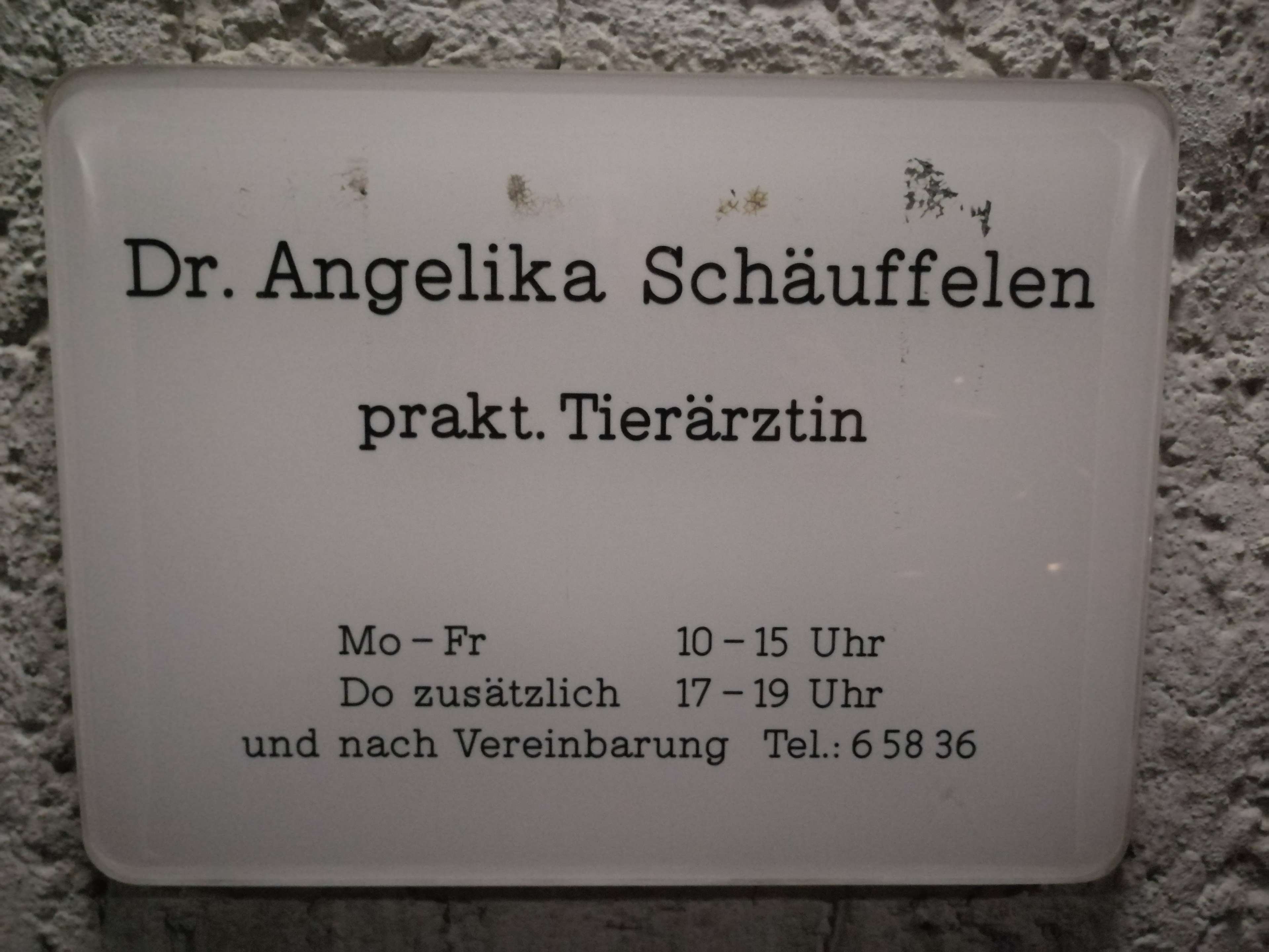 View 3 of Tierarztpraxis Ulm Dr. Angelika Schäuffelen