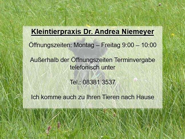Ansicht 1 von Dr. med. vet. Andrea Niemeyer