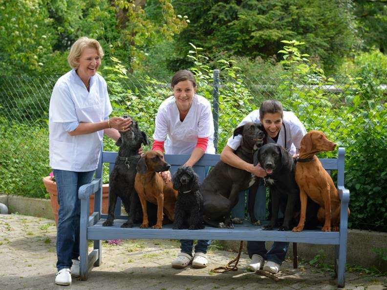 Ansicht 1 von Kleintierklinik München Riem - Dres. med. vet. Lutz
