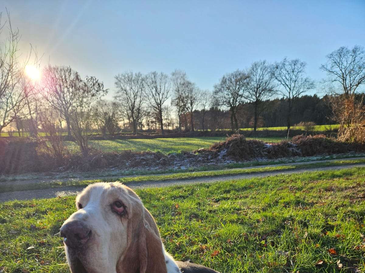 Ansicht 3 von Gezeiten Tierärzte IVC Evidensia GmbH