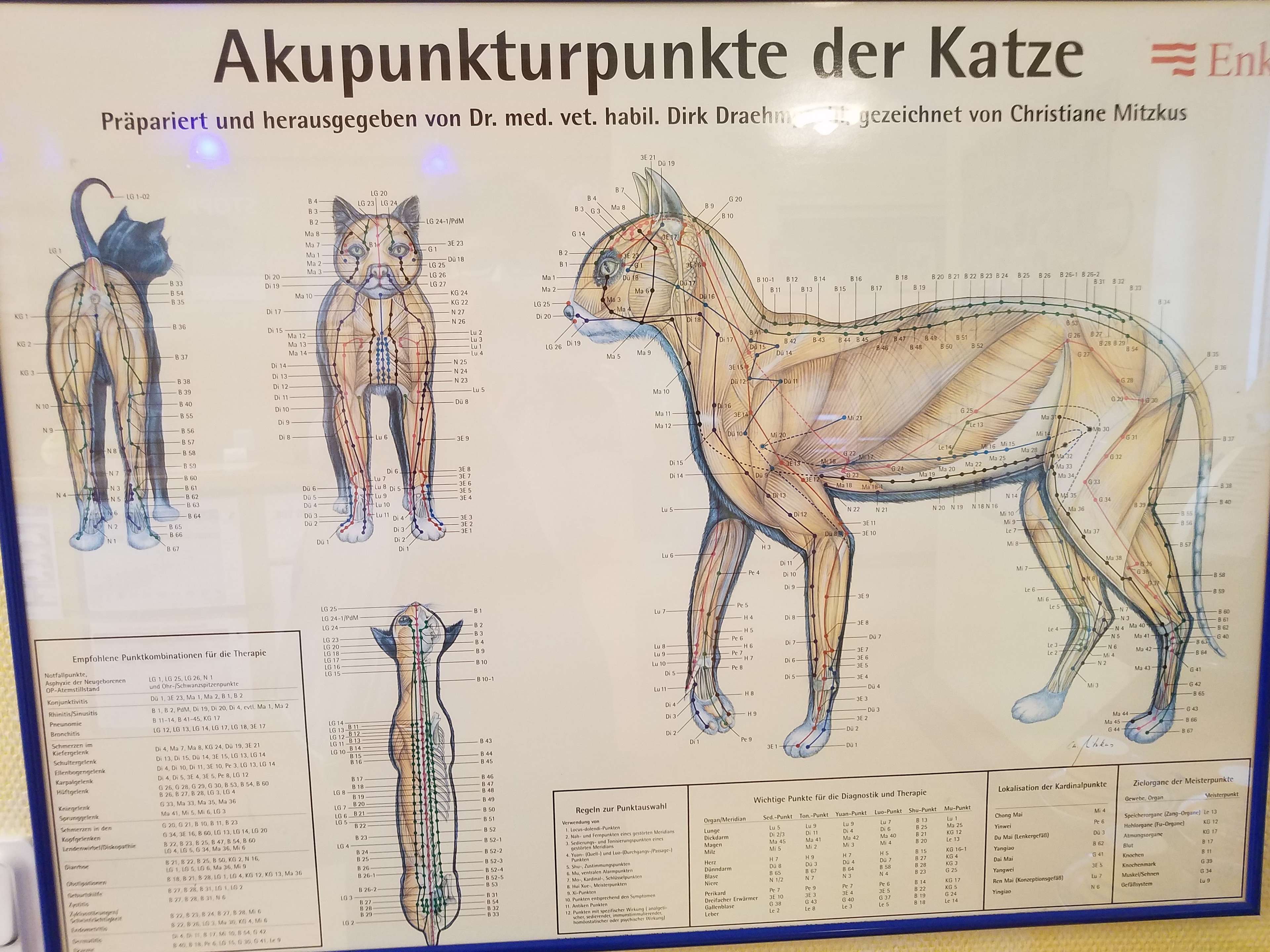 Ansicht 1 von Stefanie Heide-Röller Tierärztin