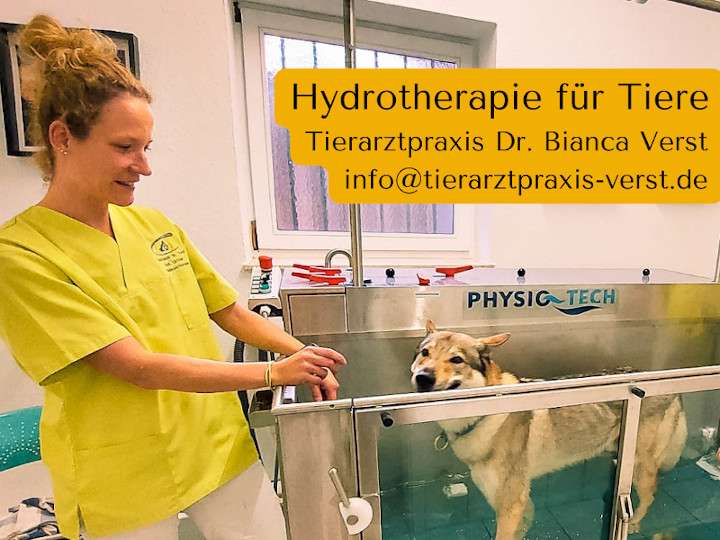 Ansicht 3 von Tierarztpraxis Verst - Dr. Bianca Verst praktische Tierärztin & Augenspezialistin für Tiere