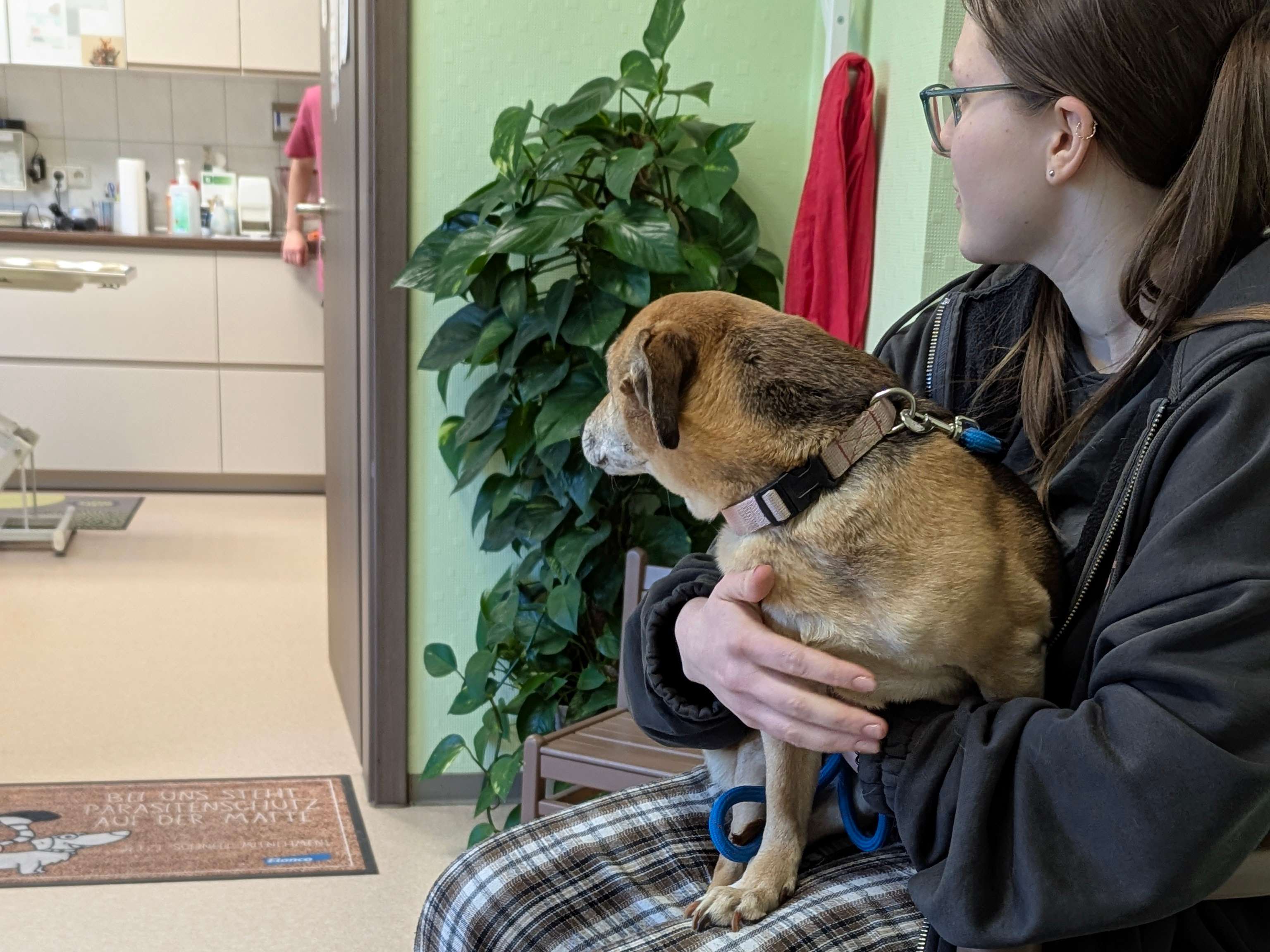 Ansicht 1 von Tierärztin Christin Oehlschläger & Tierarzt Dr.med.vet. Lutz Borchardt