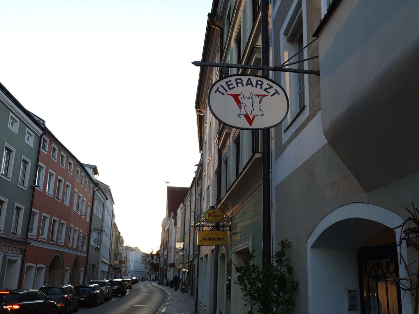 Ansicht 2 von Tierarztpraxis Dr. Weinberger