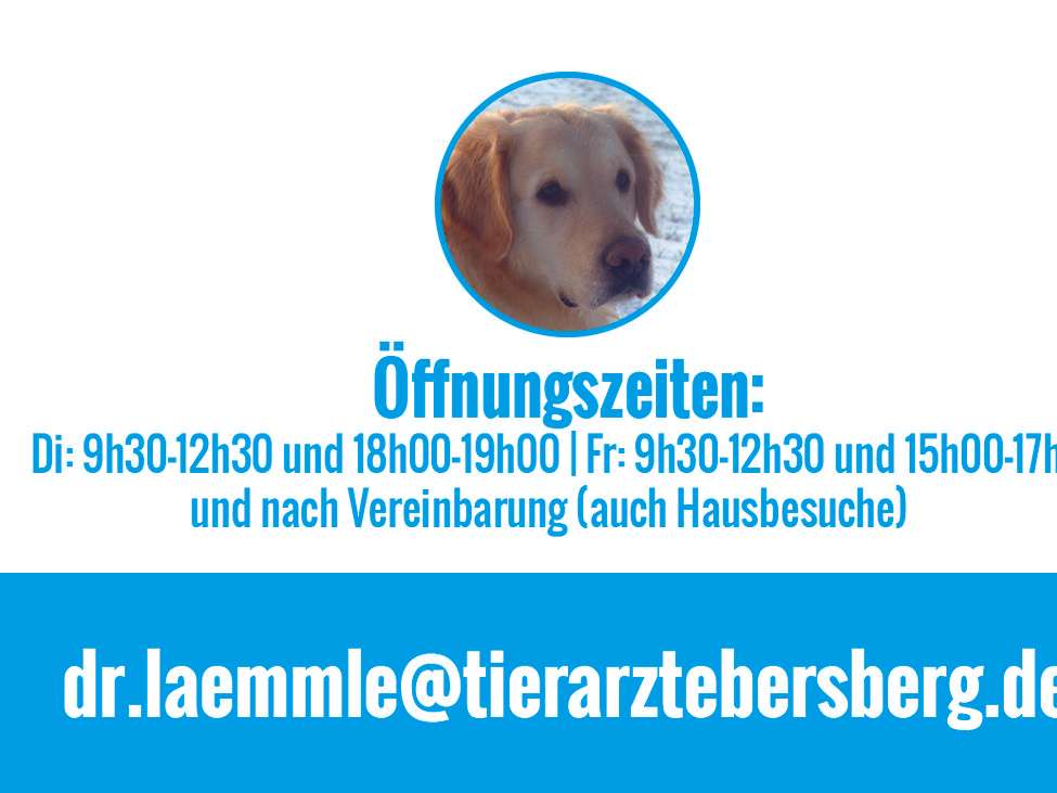 Ansicht 2 von Tierarztpraxis Dr.med.vet. Dorothea Lämmle