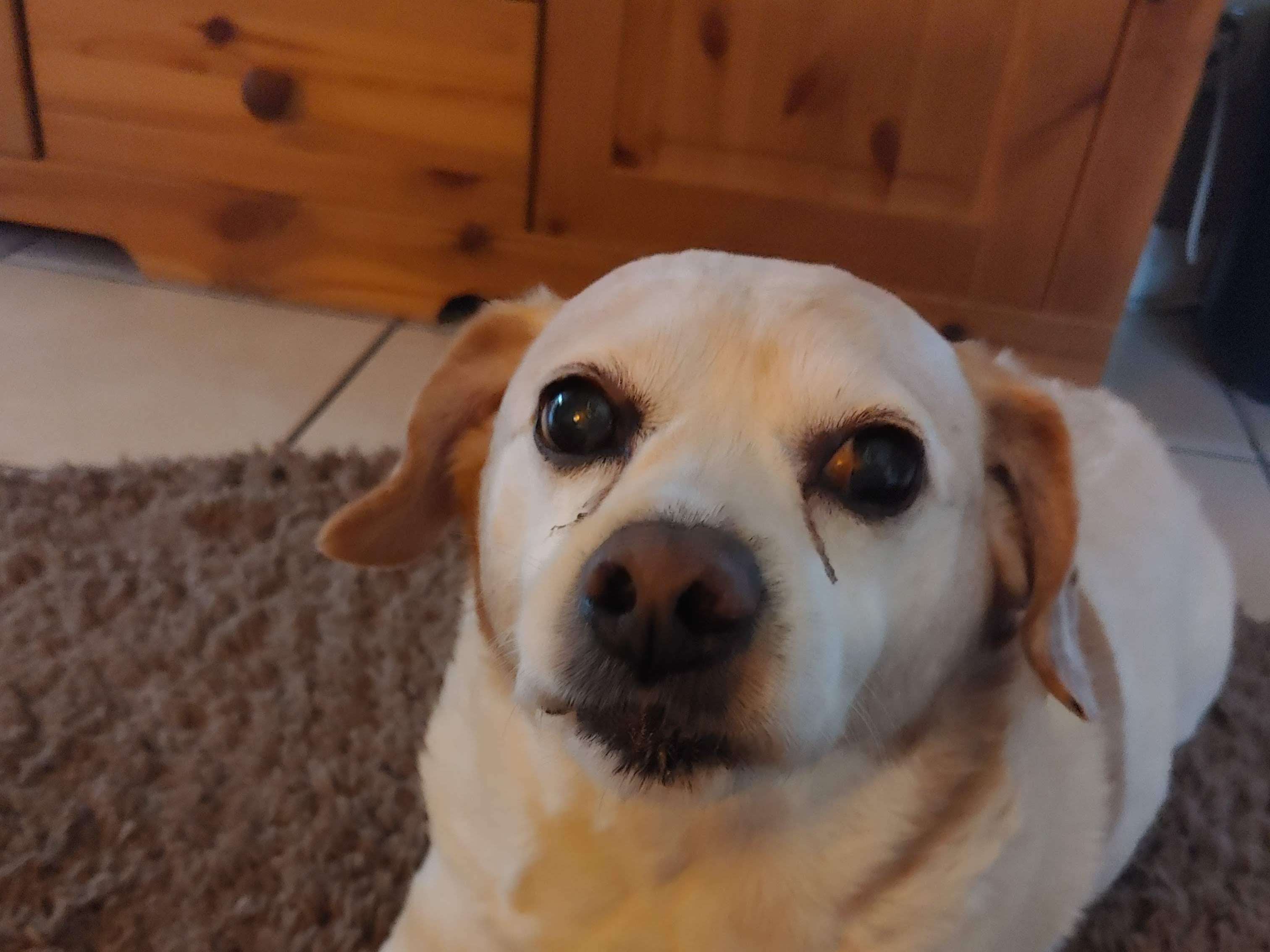 View 3 of Tierärztliche Gemeinschaftspraxis Heeslingen