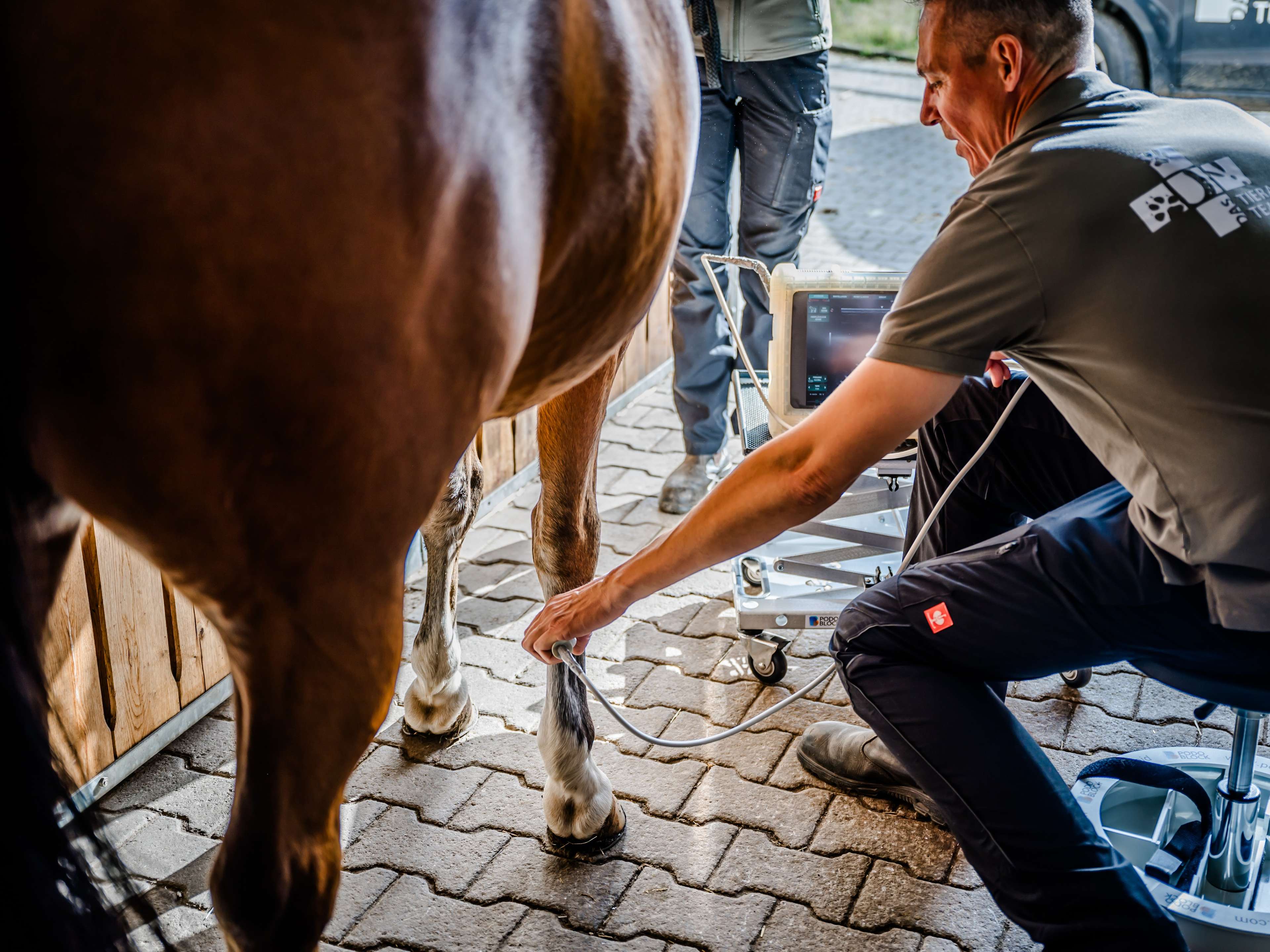 Ansicht 1 von Das Tierarztpraxis Team Dr. Michael Müller - Kleintiere & Pferde