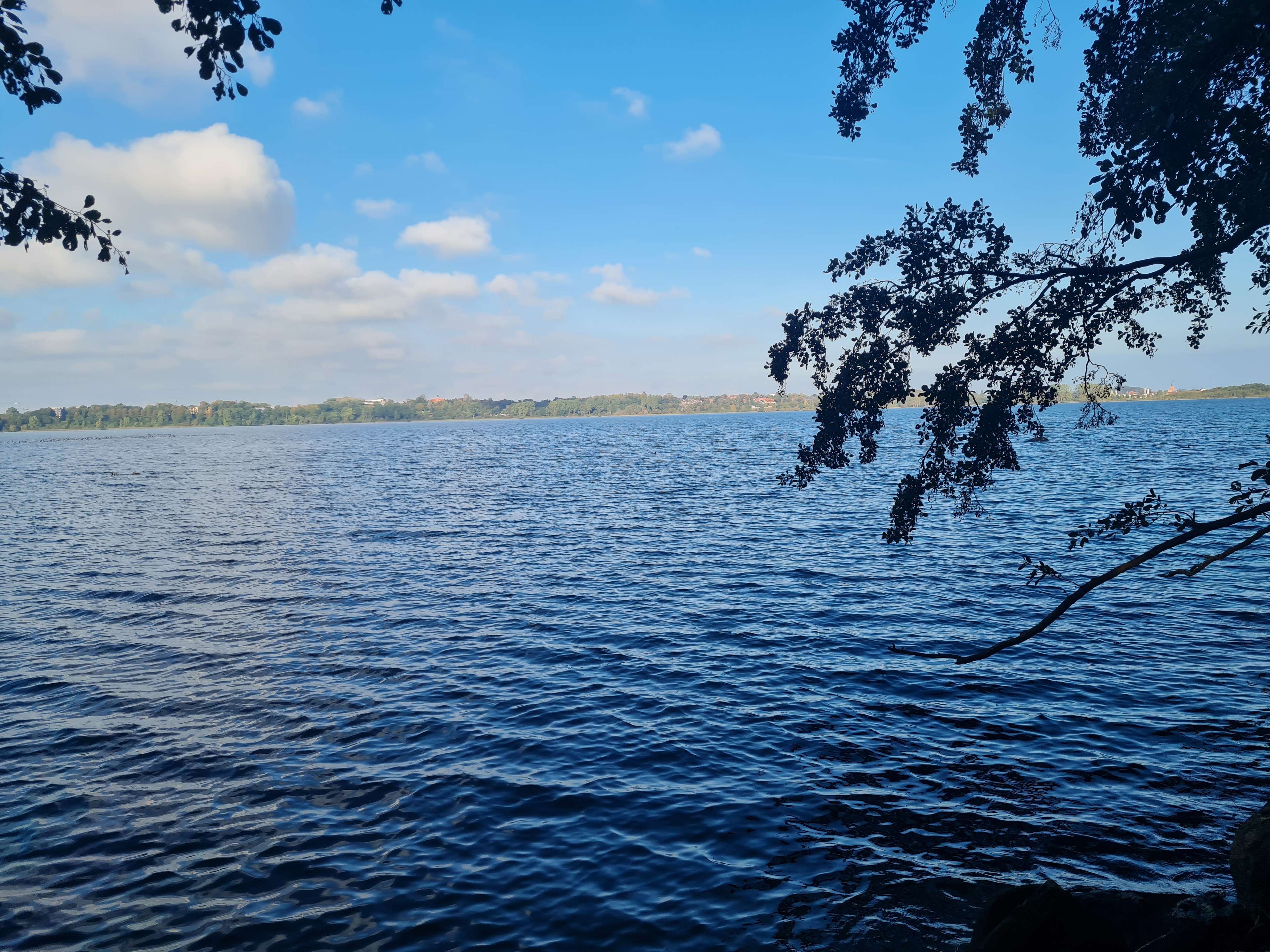 View 3 of Tierarztpraxis Gut Windeby