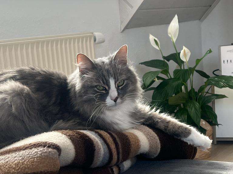 Ansicht 1 von TAP Tierarztpraxis in Kitzingen