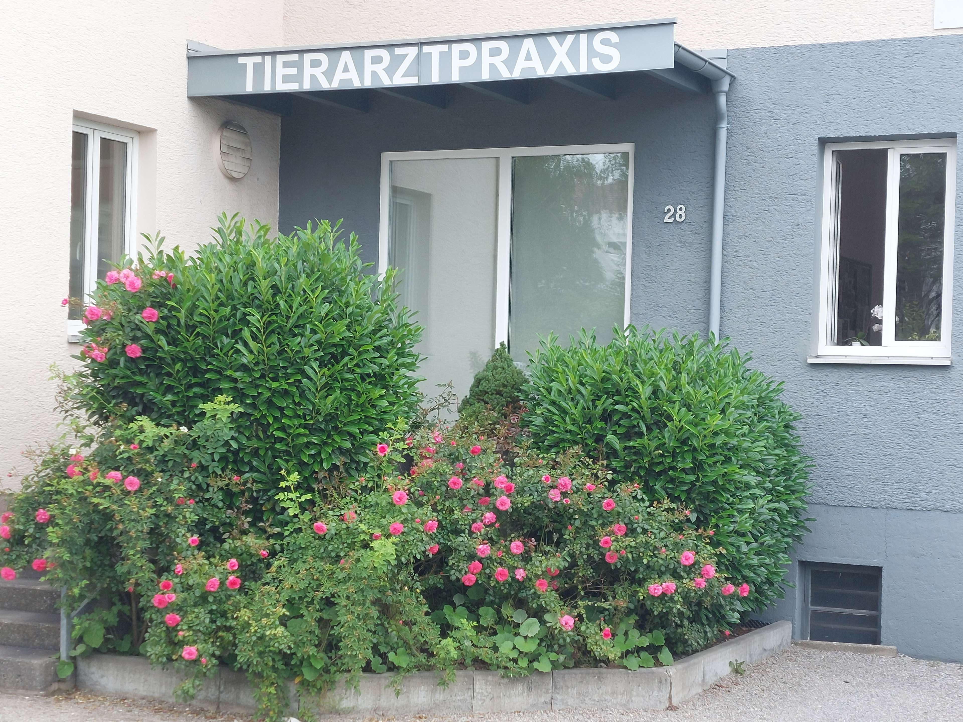 View 1 of Dr. med. vet. Katharina Gang-Stiller