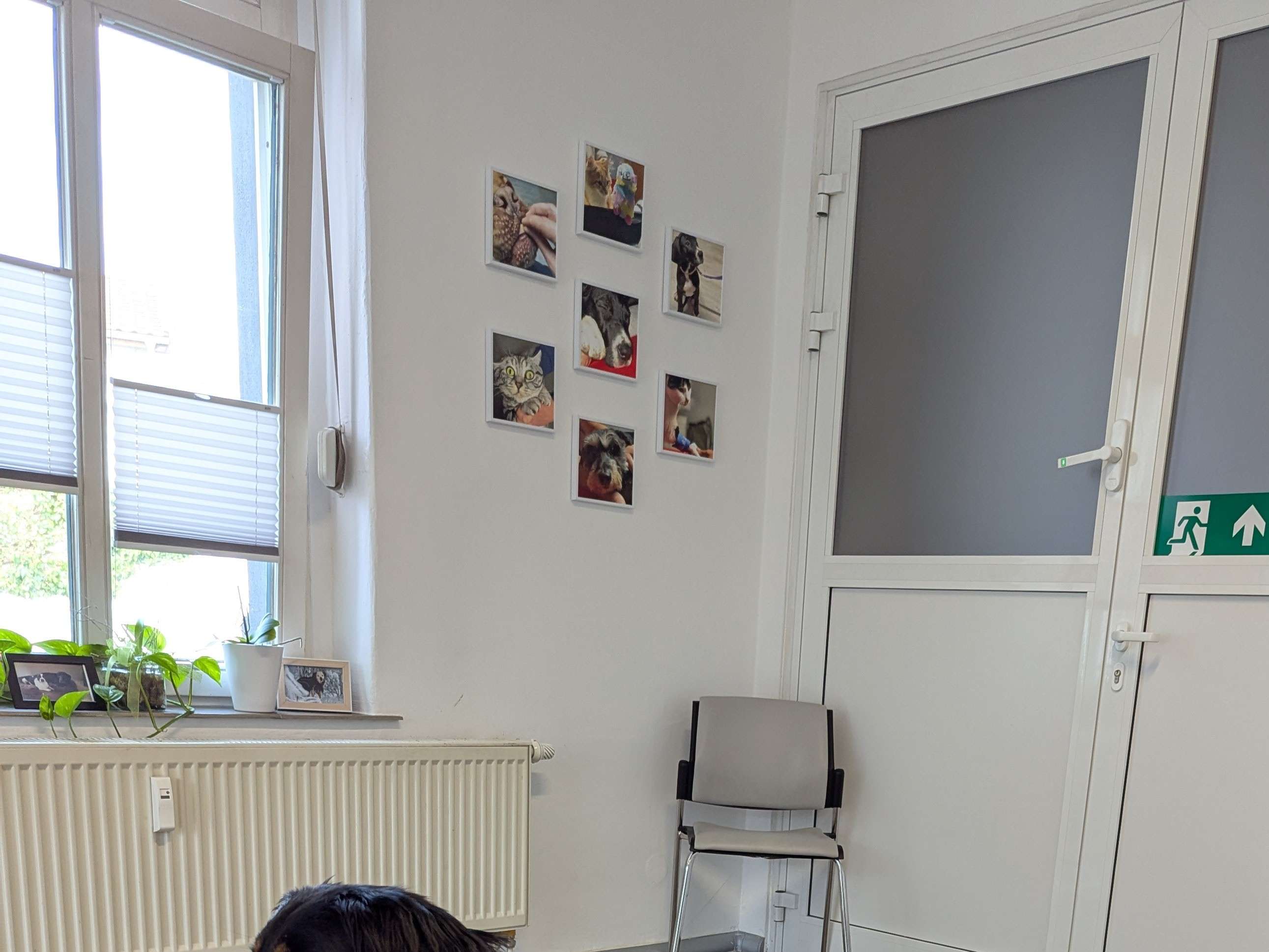 Ansicht 1 von Dr. Antje Trogisch, Fachtierärztin für Klein-und Heimtiere/ Kardiologie