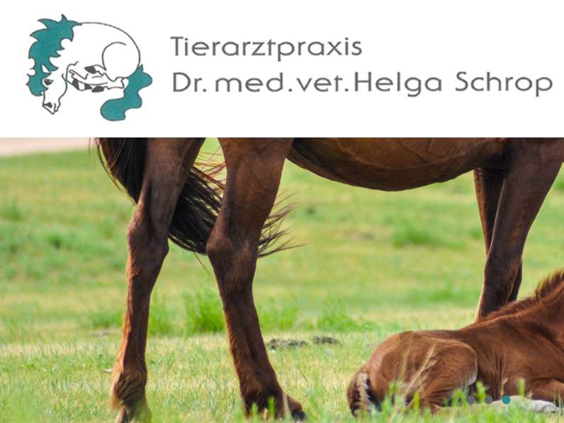 Ansicht 2 von Dr. med. vet. Helga Schrop | Tierärztin für Pferde