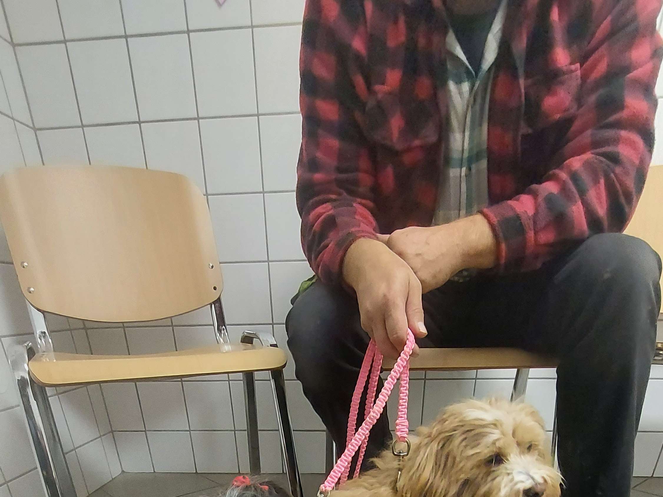 Ansicht 1 von Fritz Hottejan Tierarzt