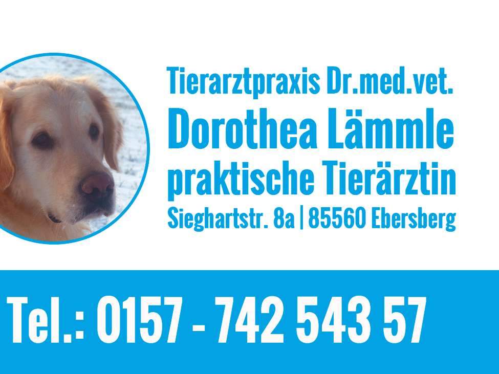 Ansicht 3 von Tierarztpraxis Dr.med.vet. Dorothea Lämmle